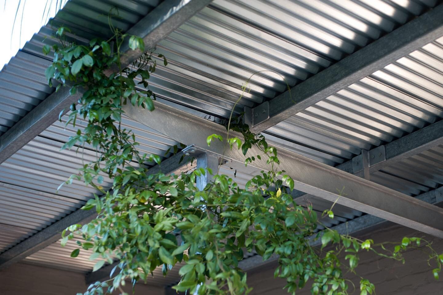 We recognize the timebound nature of architecture. 🍃
The wrap-around verandah at the Cederkloof Botanical Retreat opstal features a simple steel structure that was designed to allow creepers to gradually fill in the gaps and become a &ldquo;green&rd