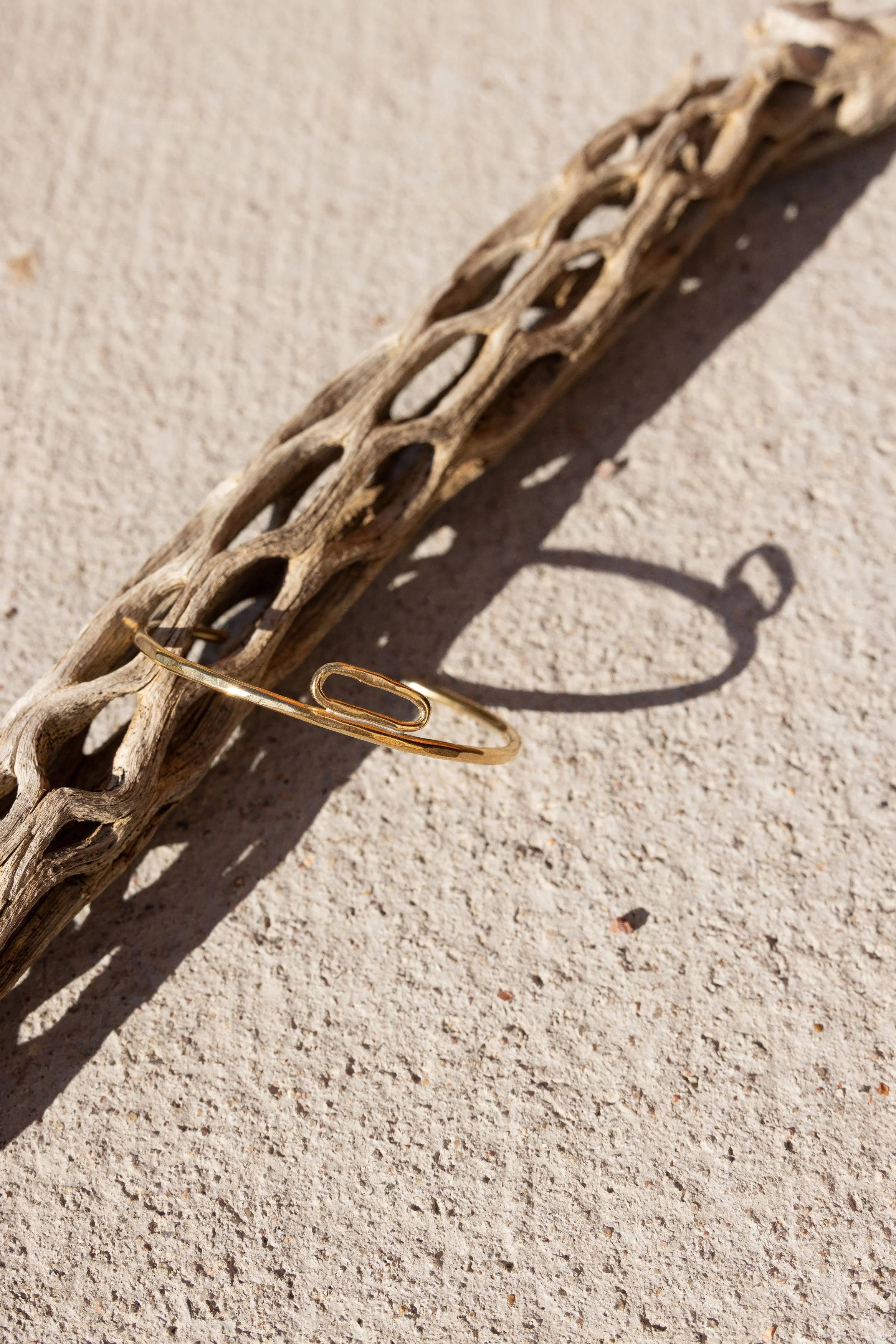 Saltgrass_MBrockington1P9A3327.jpg