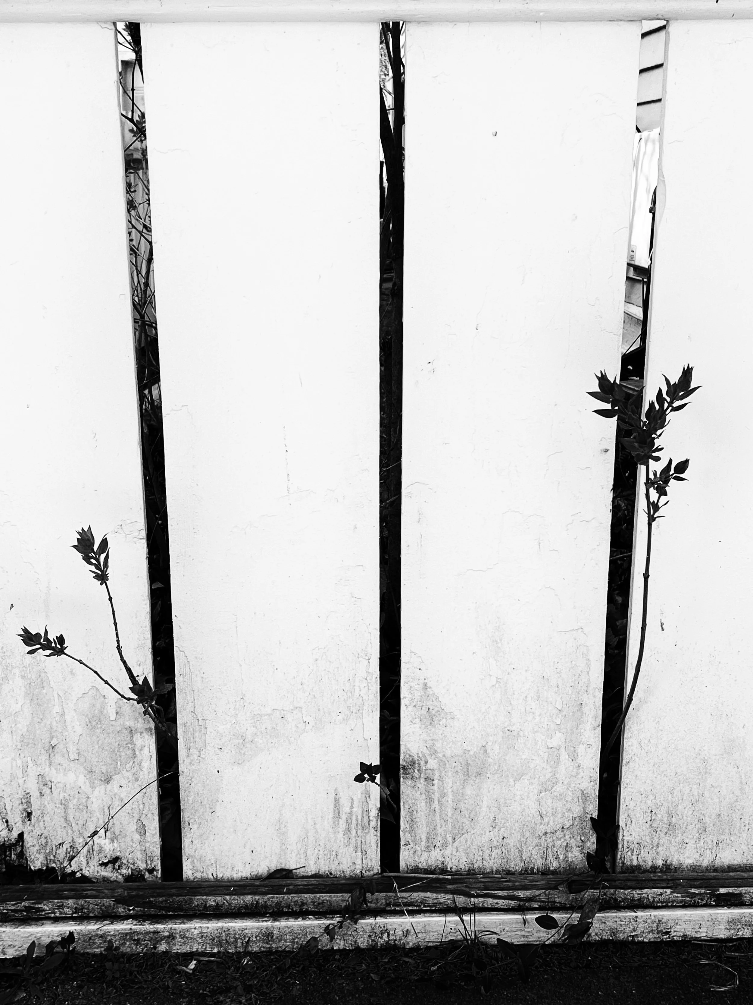 Through Narrow Means by Bonnie Jaffe