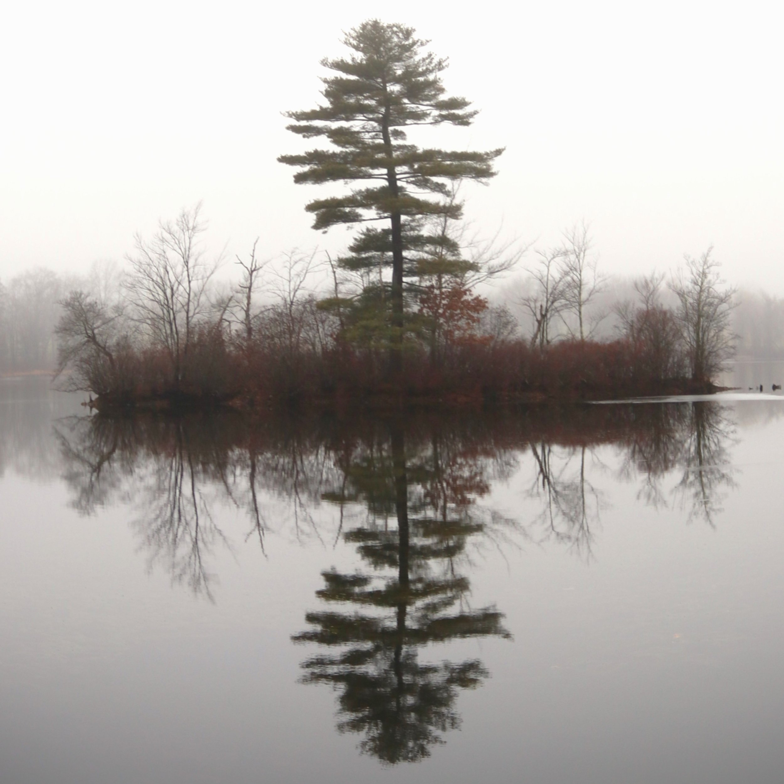 Kerry_Hood_Island Cross($300).jpg
