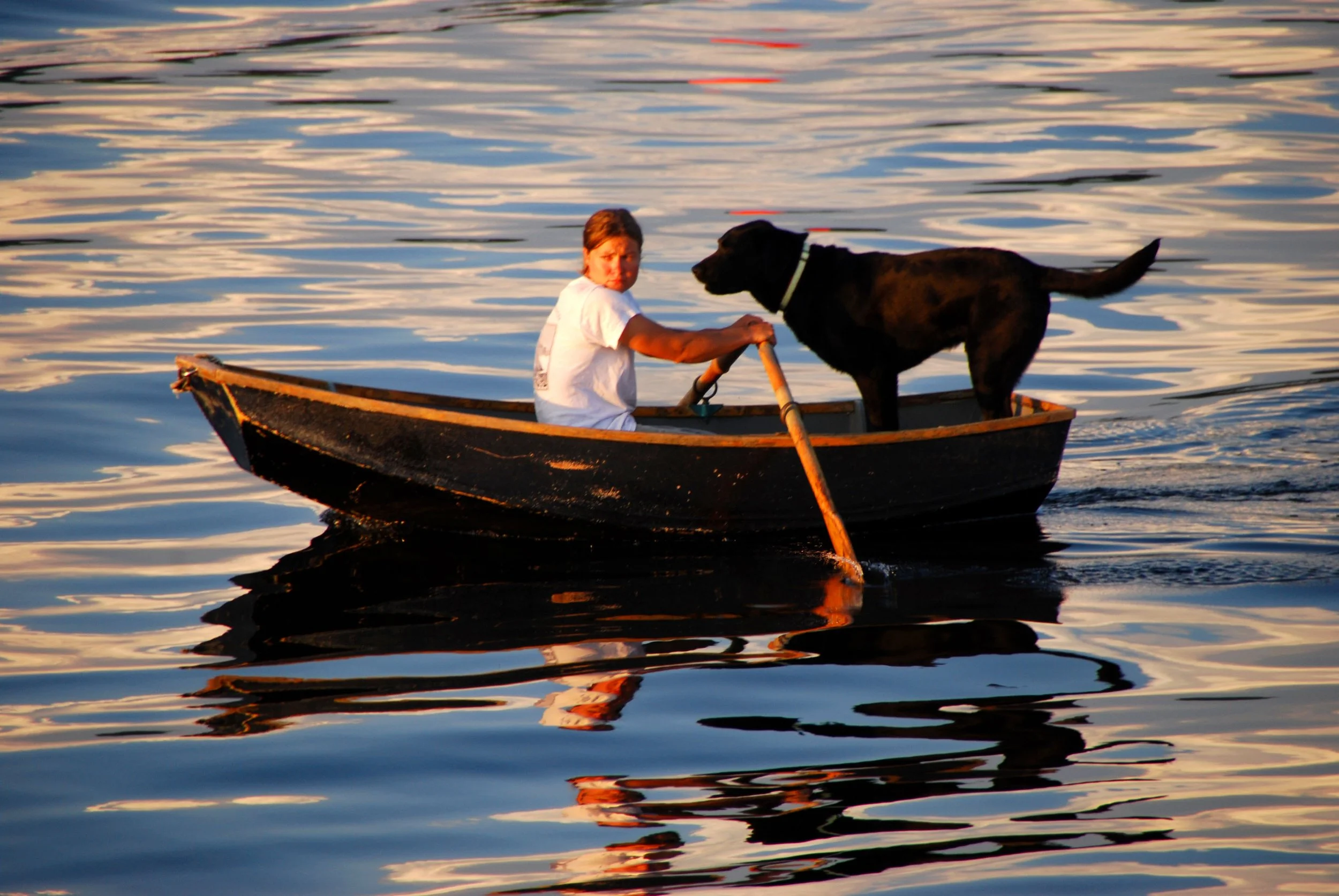 Rowing with Rossie by Bern Altman