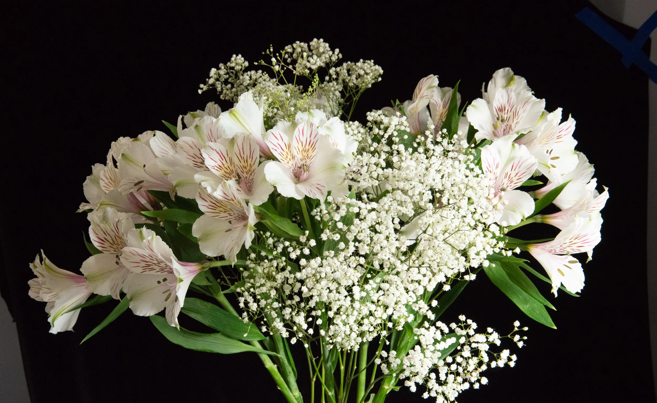 Sylvia_Hampton_Snow Outside Bloom Inside($175).jpg