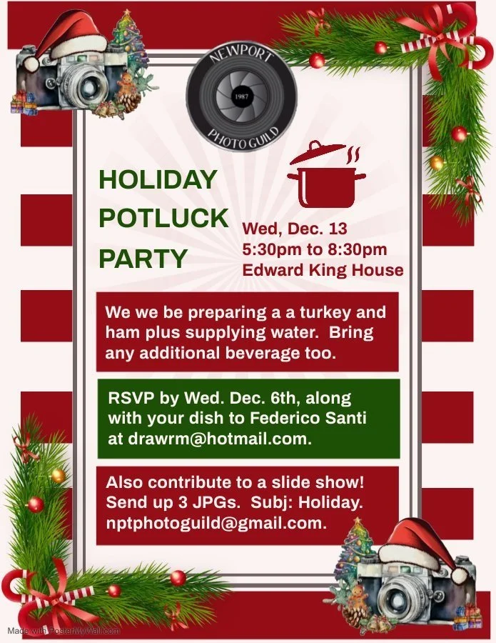 Holiday Party Flyer