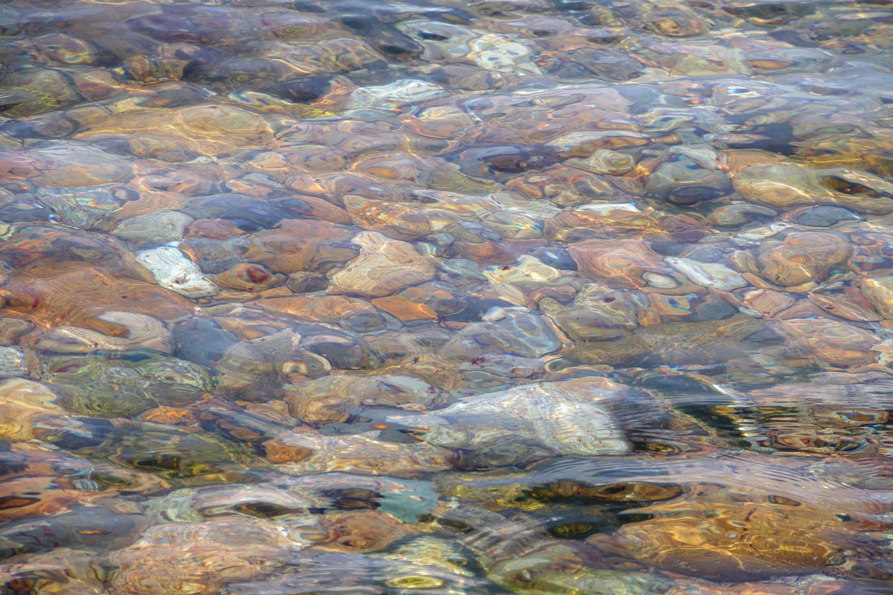 Block Rocks by Linda LaParle