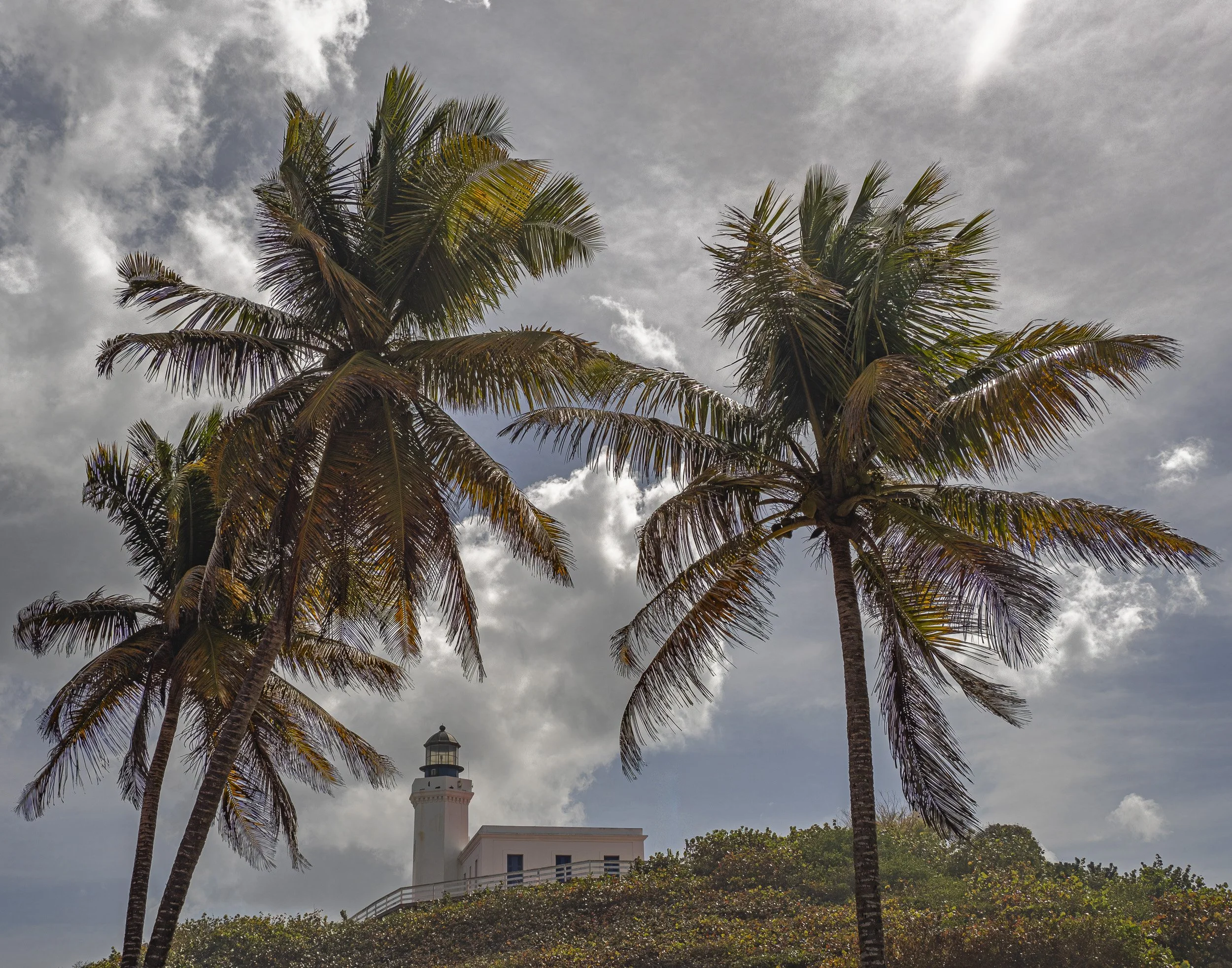 Arecibo by Jenn Hanley