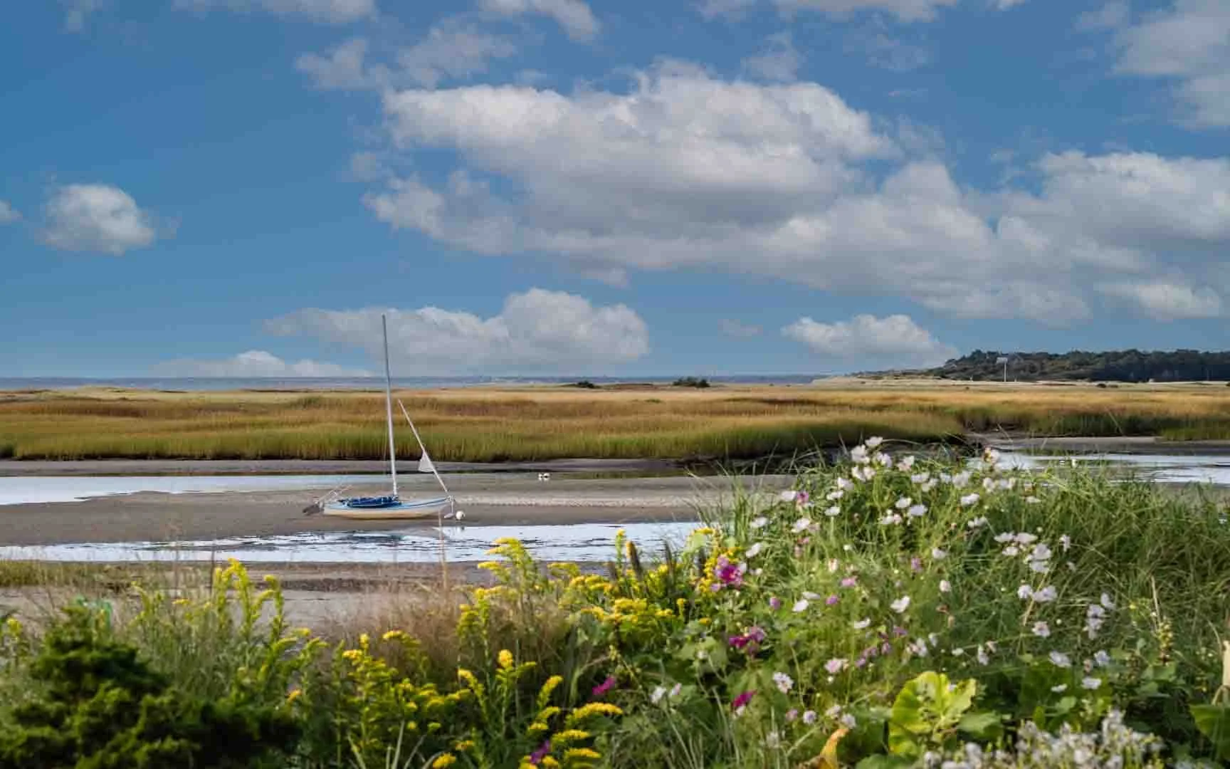 The Tide Is Coming by Nancy Tynan