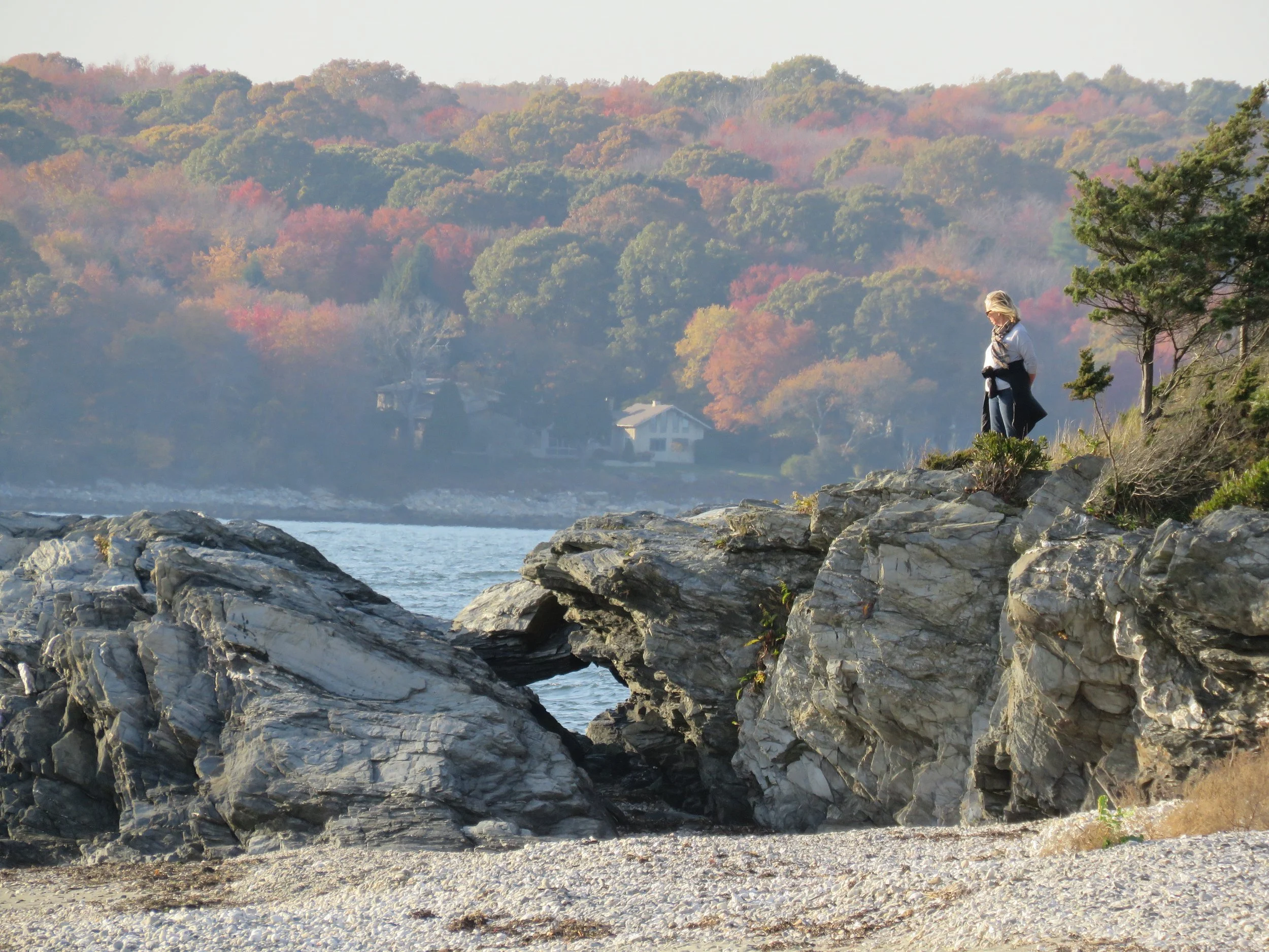Contemplation by Marilyn Moffatt