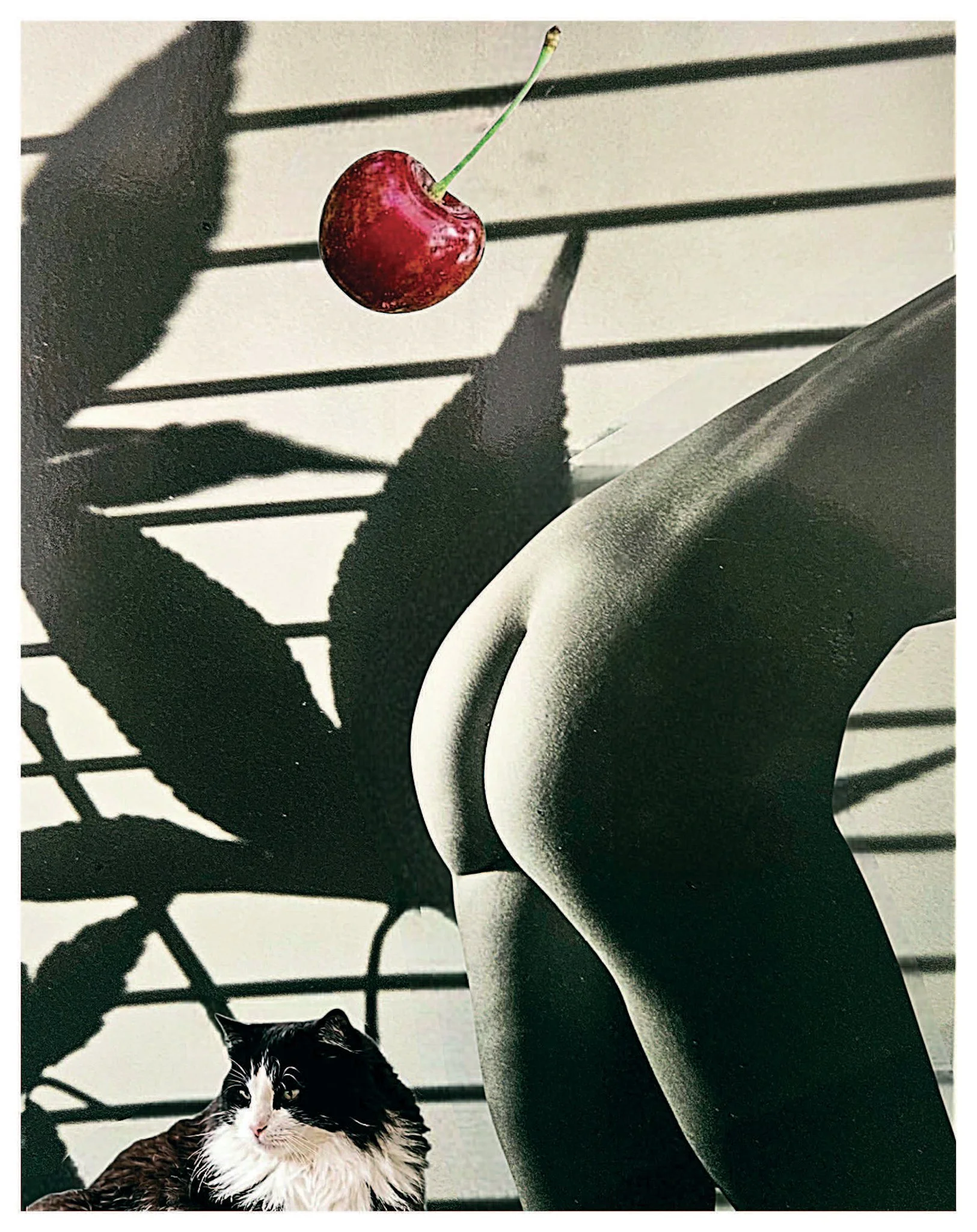 Naked Gayz by Vin Marcello