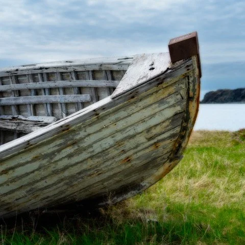 Newfoundland by David Pinkham