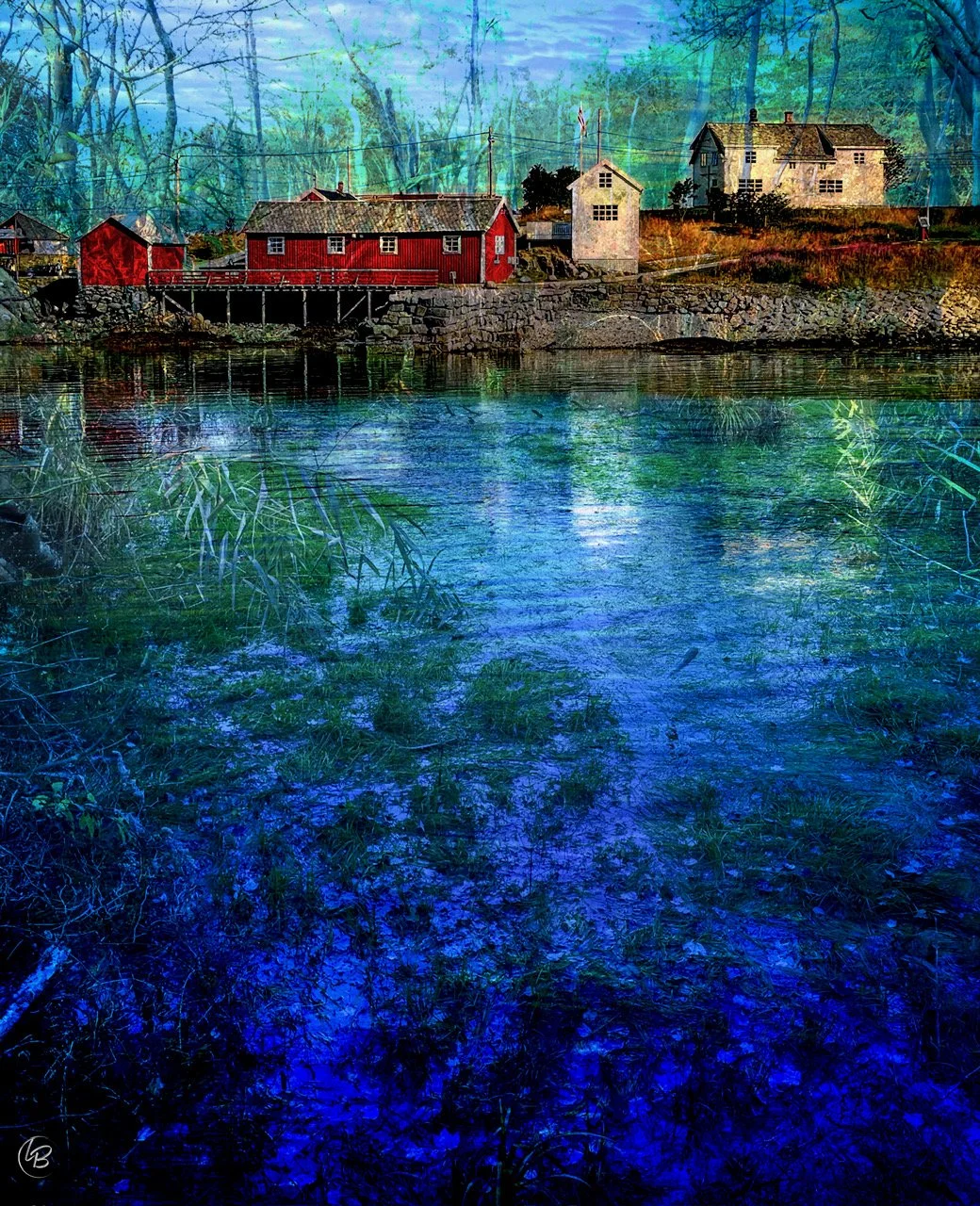 Hidden Cove by Lisa Bergeron