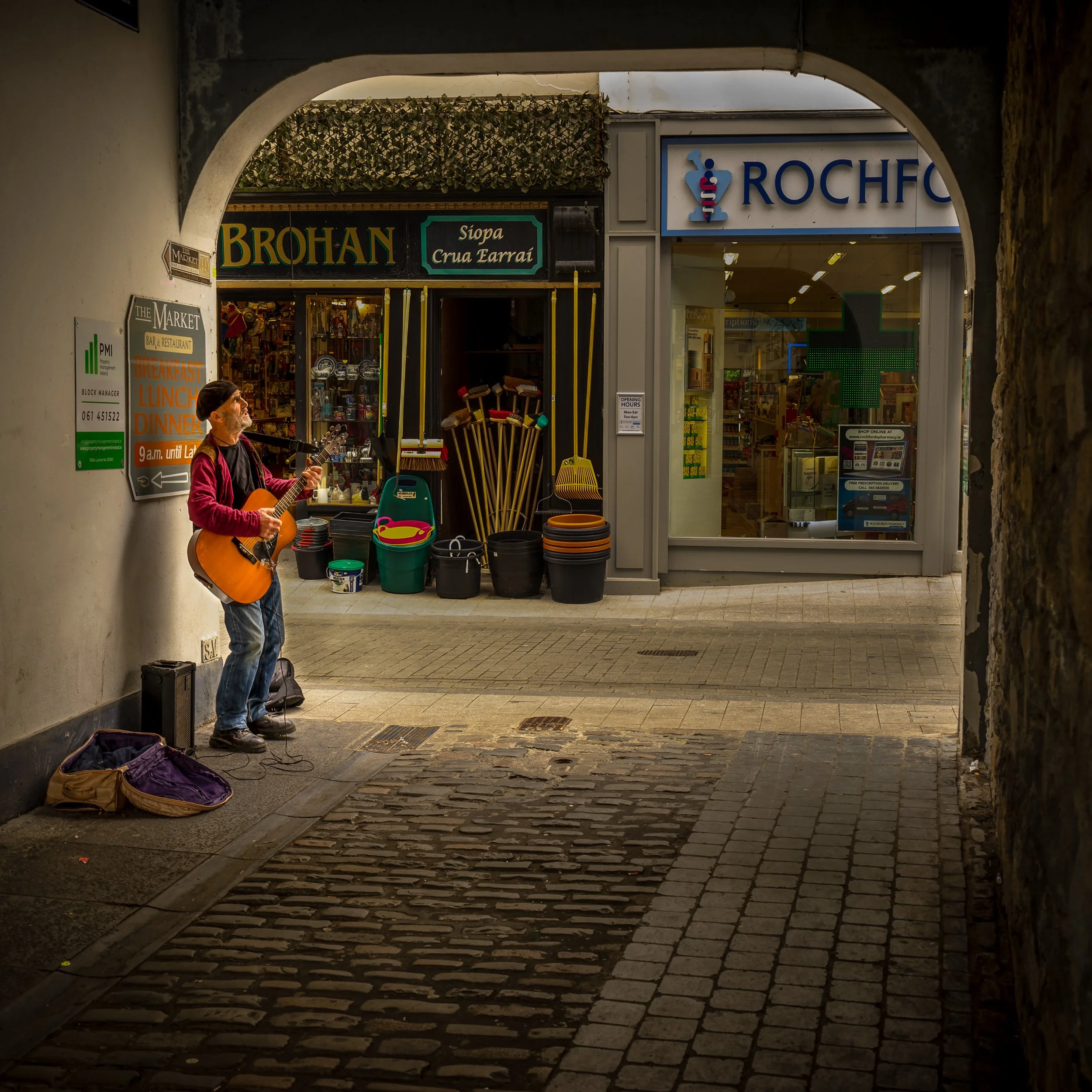 Singing in the Sun by David Pinkham
