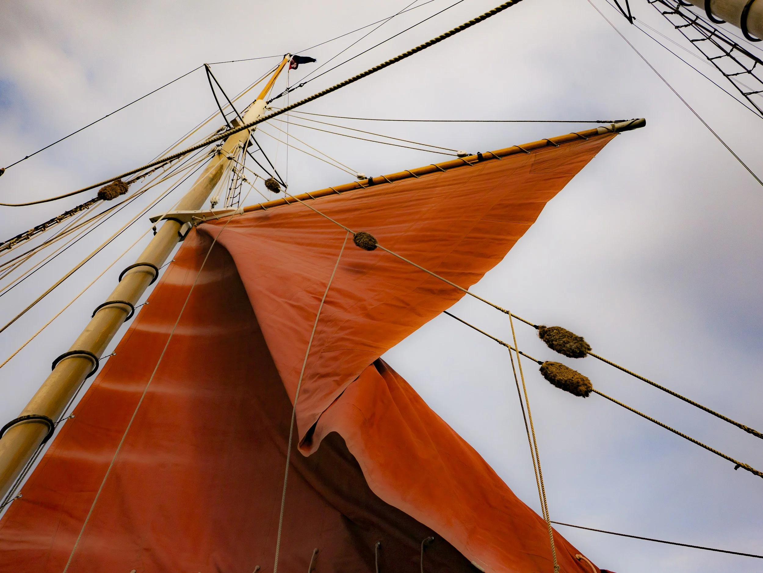Red Sails by Jane Viti