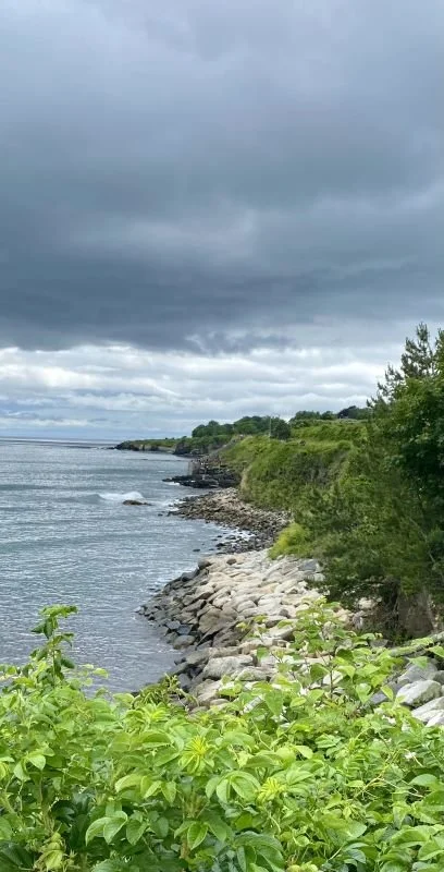 Cliff Walk by Consuela Woodford