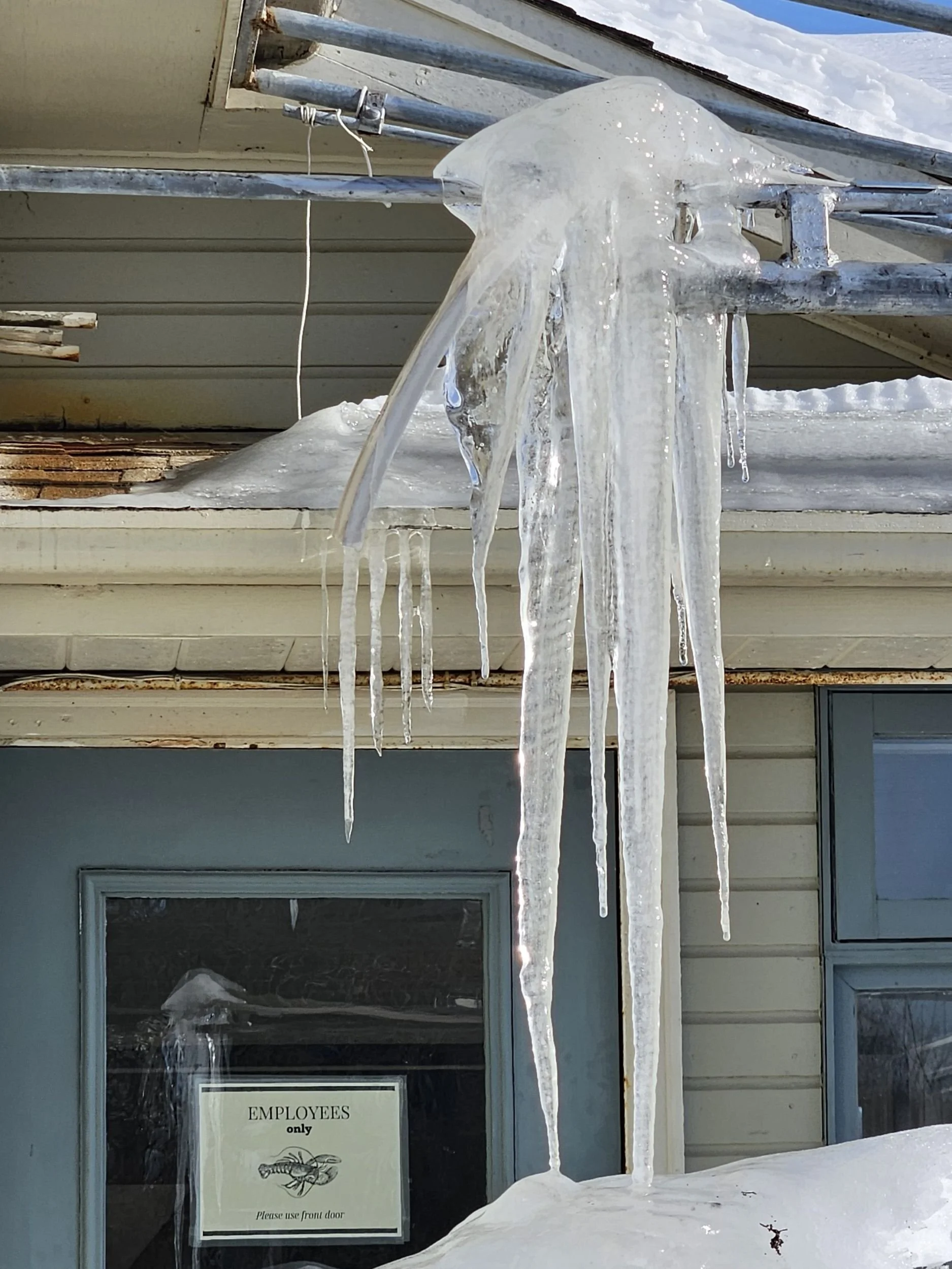 Today's Winter Special at the Lobster Pot by Liz Fields