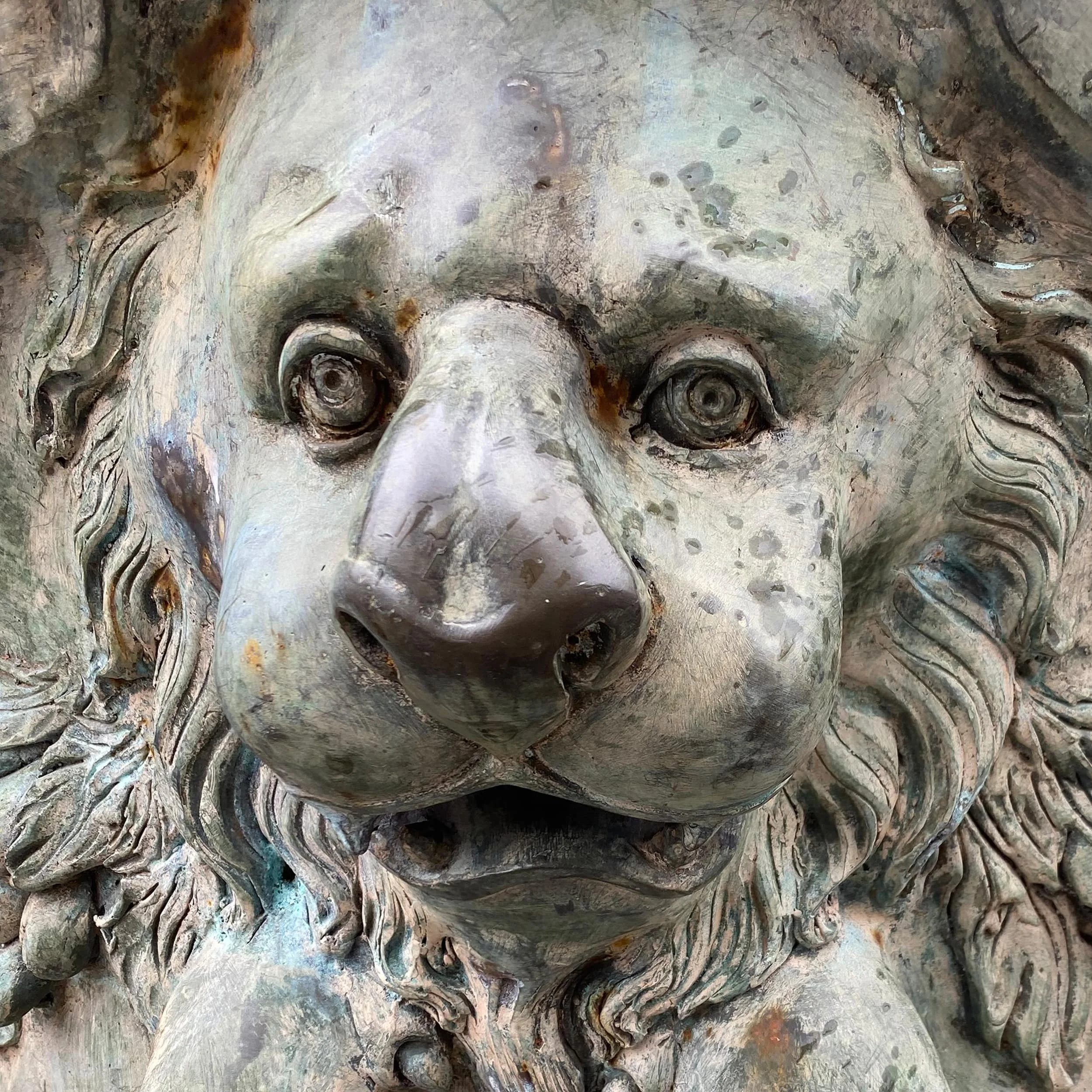 The Lion of Federal Hill by Kathy Kelleher