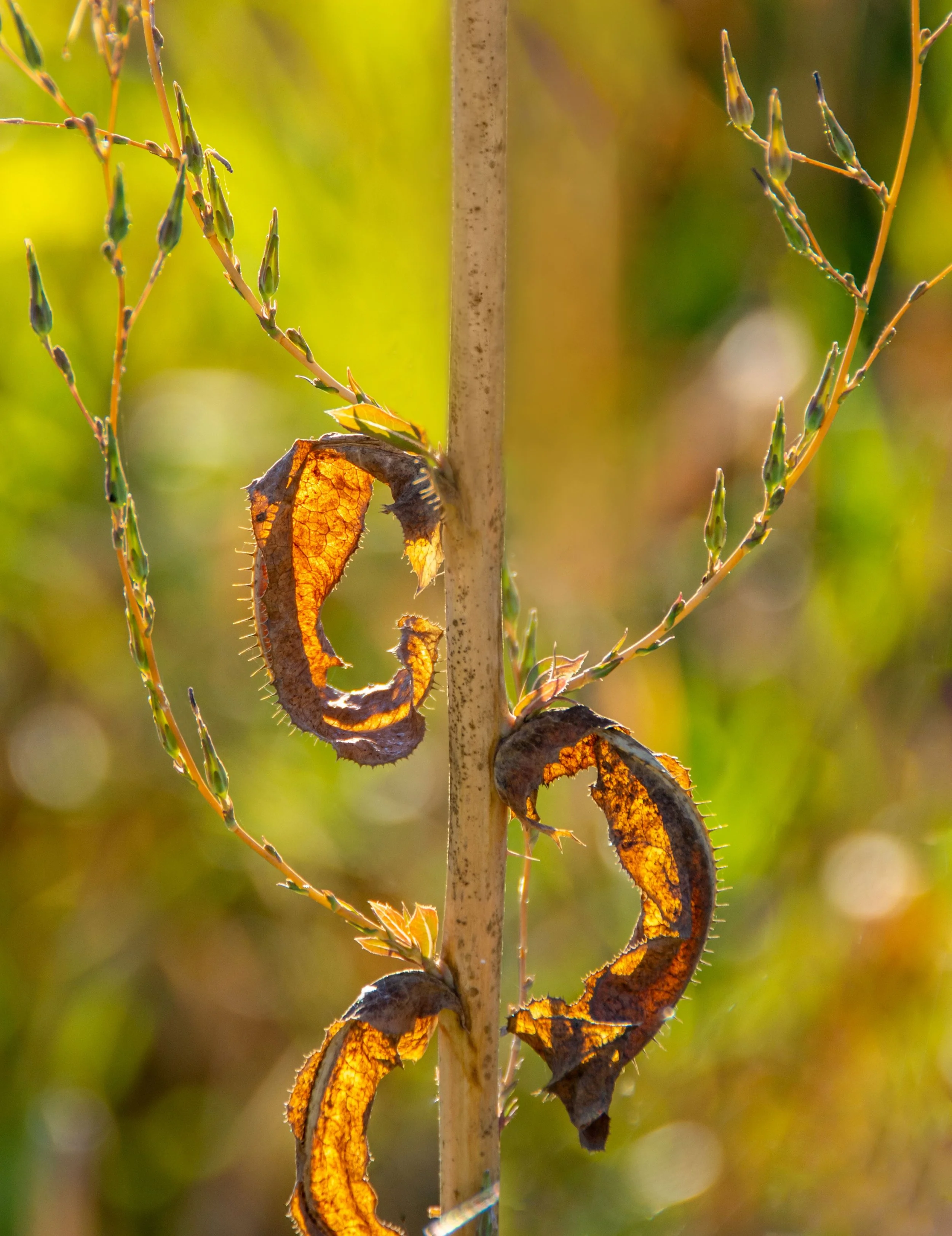 Three's Company by Rich Hudson