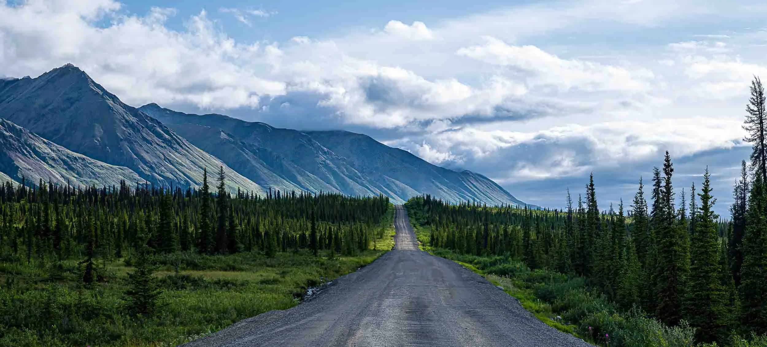 A Road Less Traveled by Nancy Tynan