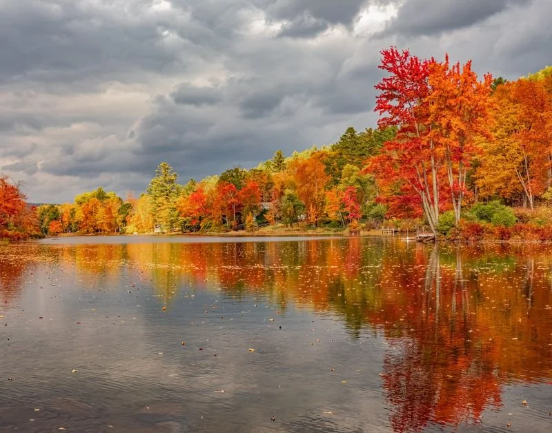 Fall Reflections by Jenn Hanley