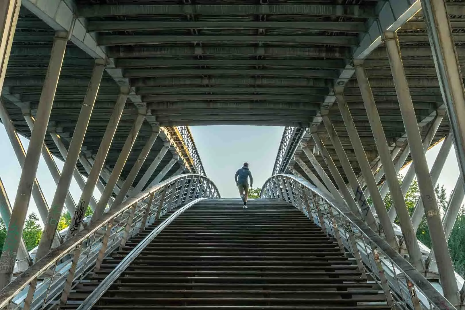 Out for a Morning Run by Jeff Reynolds