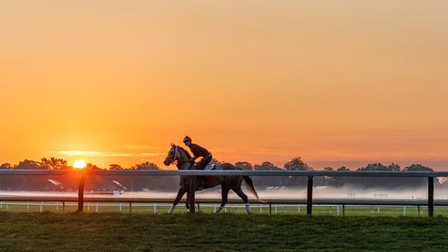 Saratoga Sunrise by Jack Heller