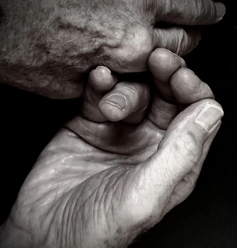 Hands by Helene Scola