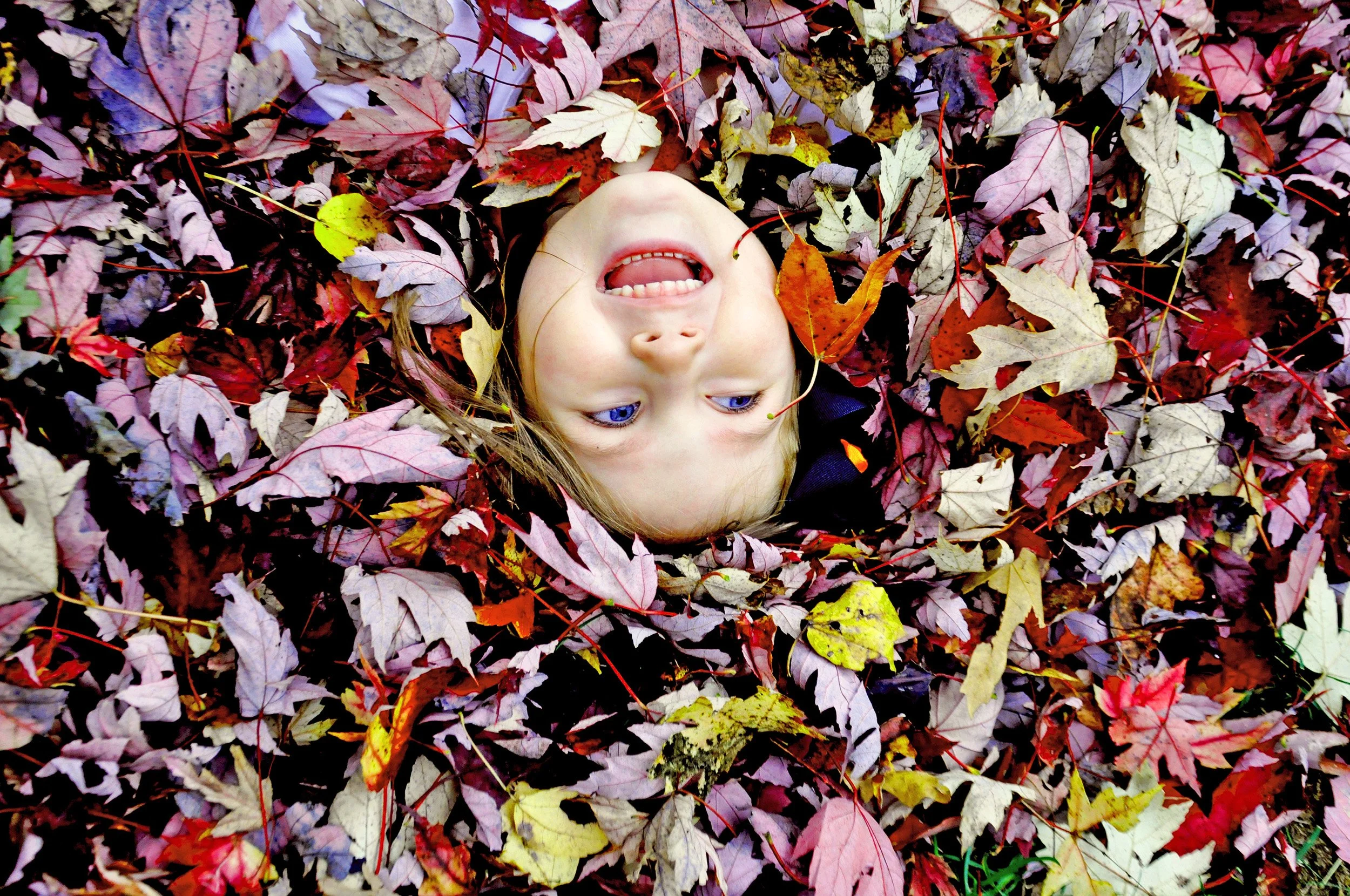 Joy of Fall by Veronica Bruno