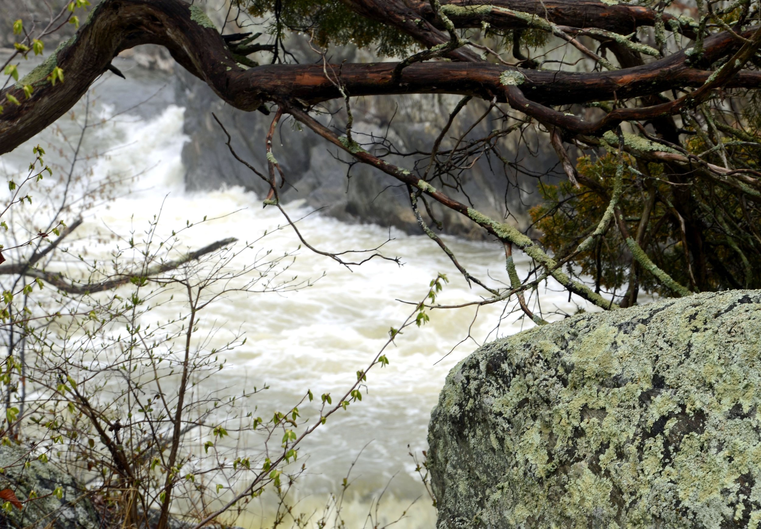 Bern_Altman_Wood, Stone & Water($150).jpg