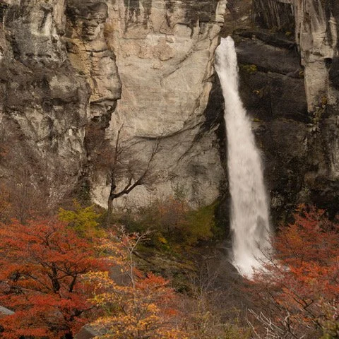 David_Pinkham_Patagonia($375).jpg