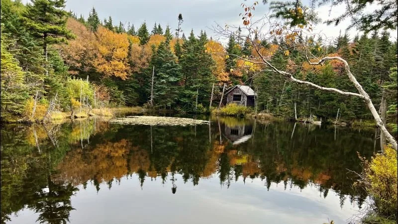Appalachian Shelter and Pond on Mount Greylock by Murray Norcross