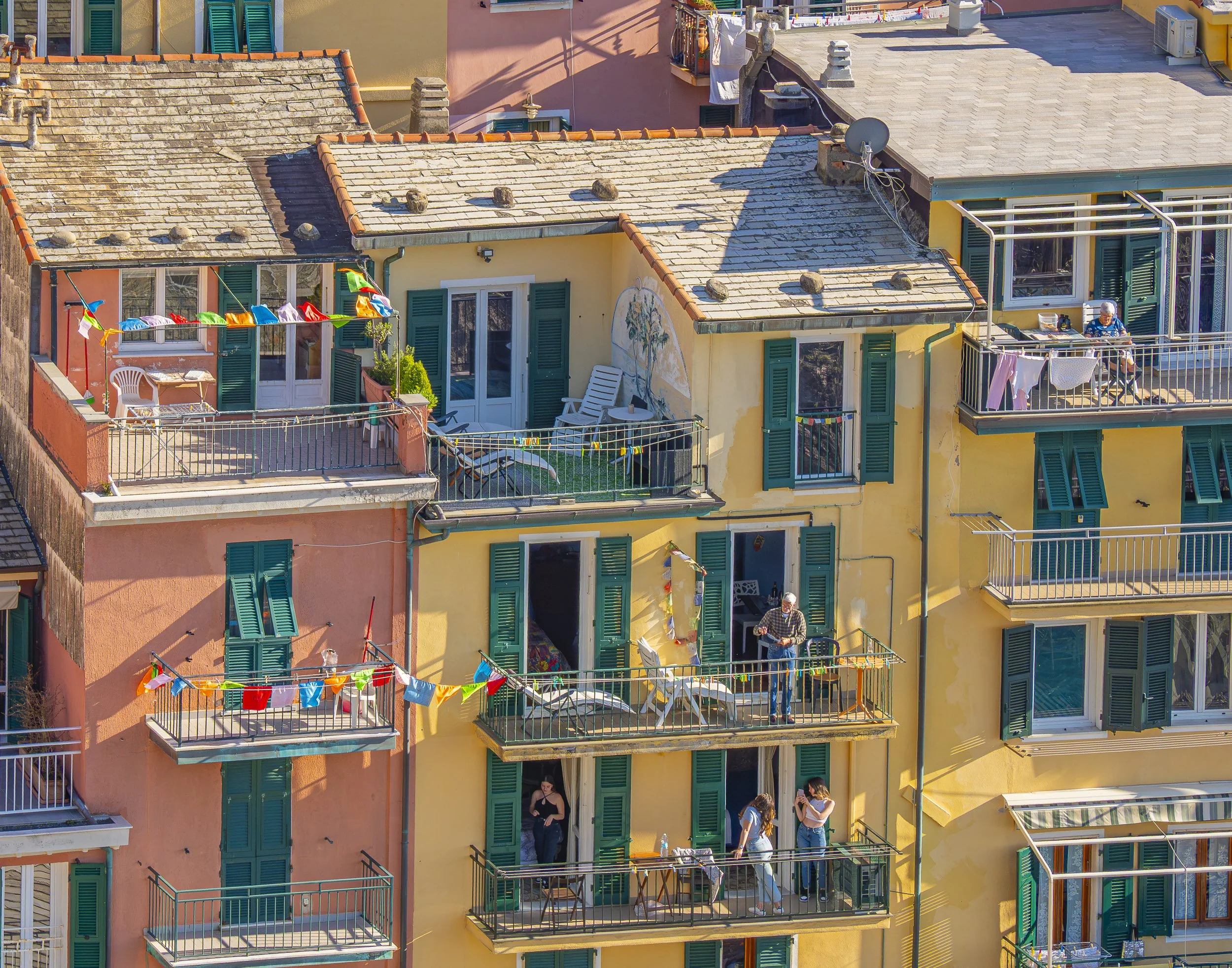 Birds Eye View by Jenn Hanley