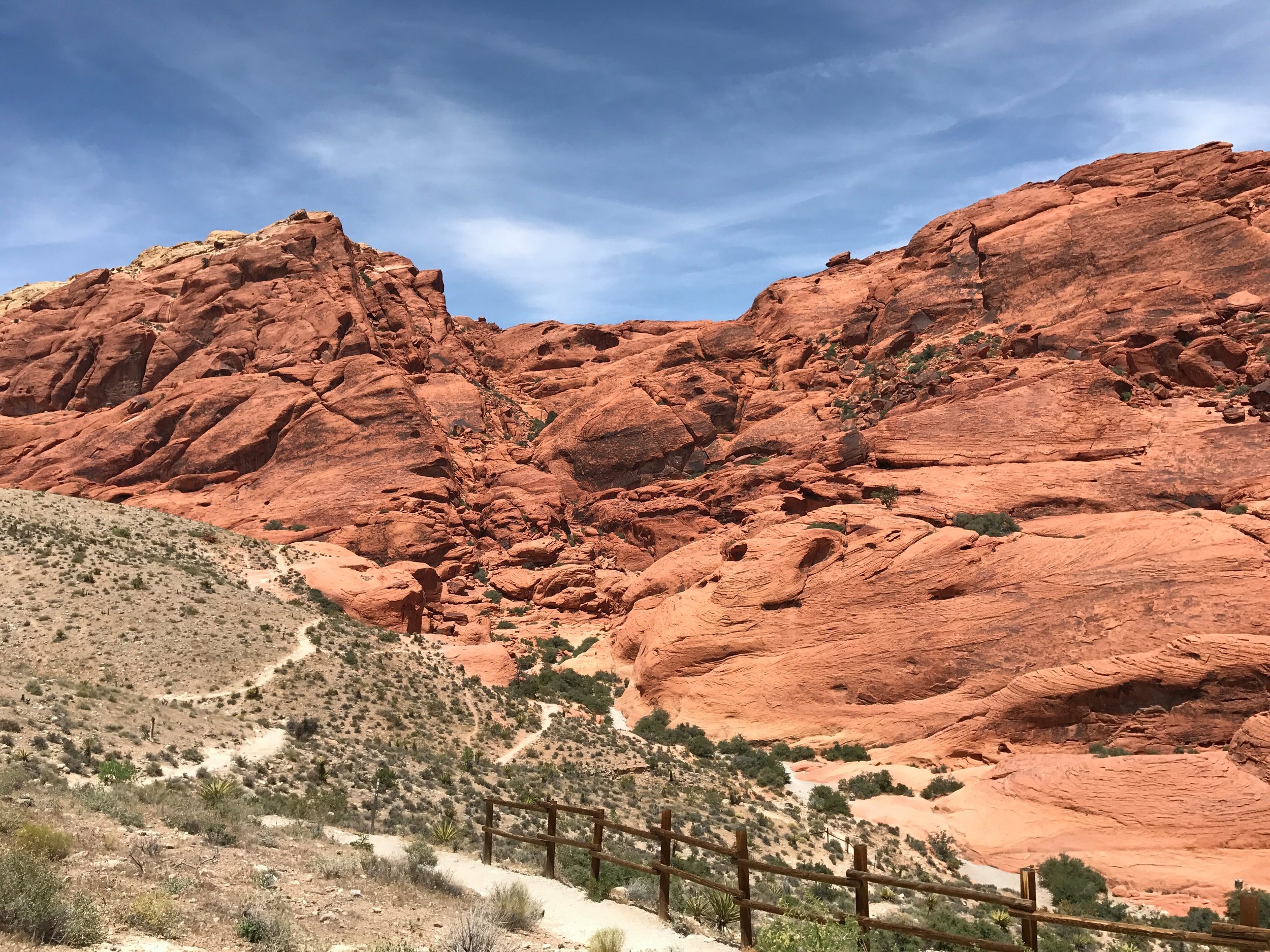 Red Rock Canyon by Peter MacInnis