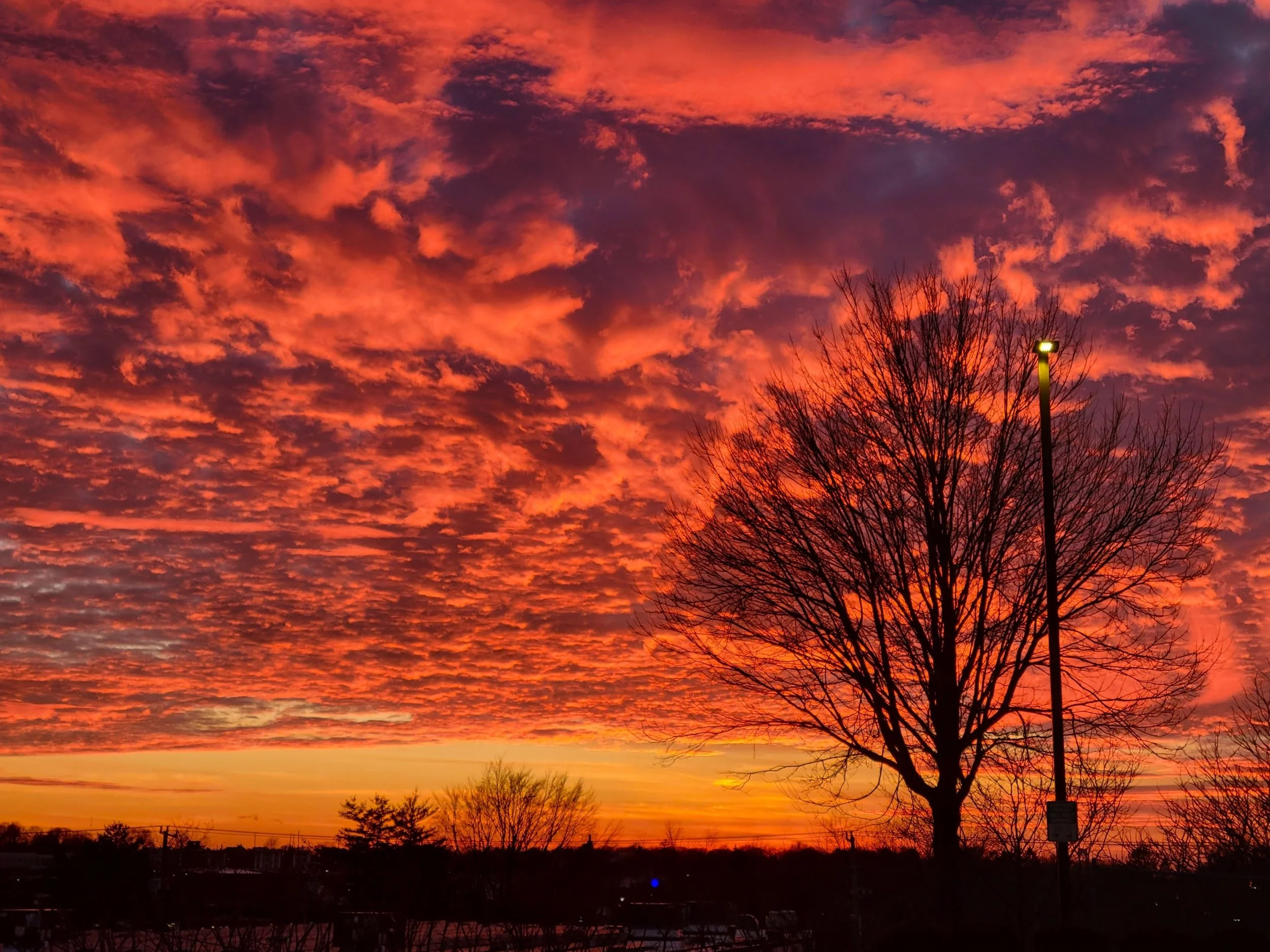 Parking Lot Sunset by Liz Fields