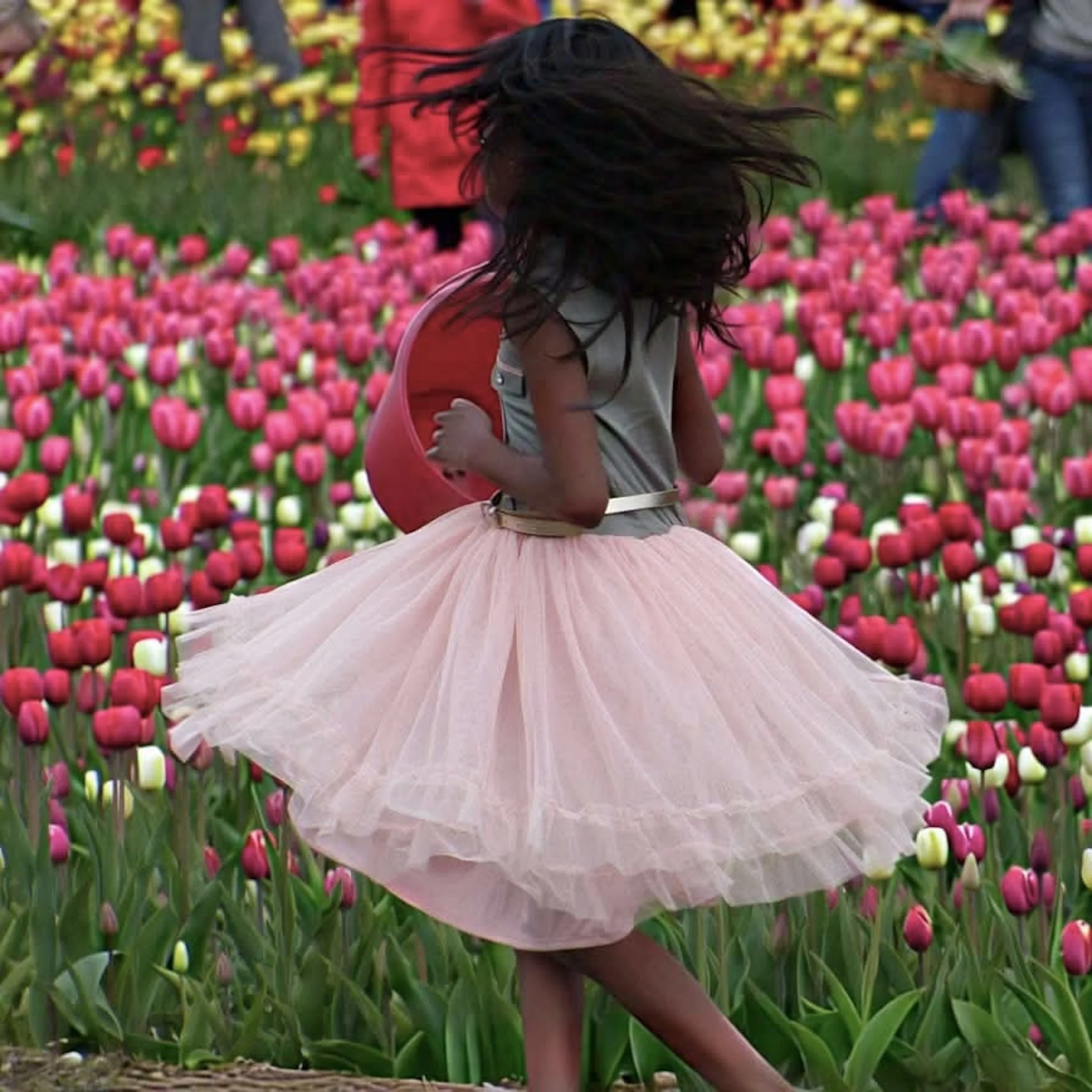 Pretty in Pink by Bonnie Jaffe