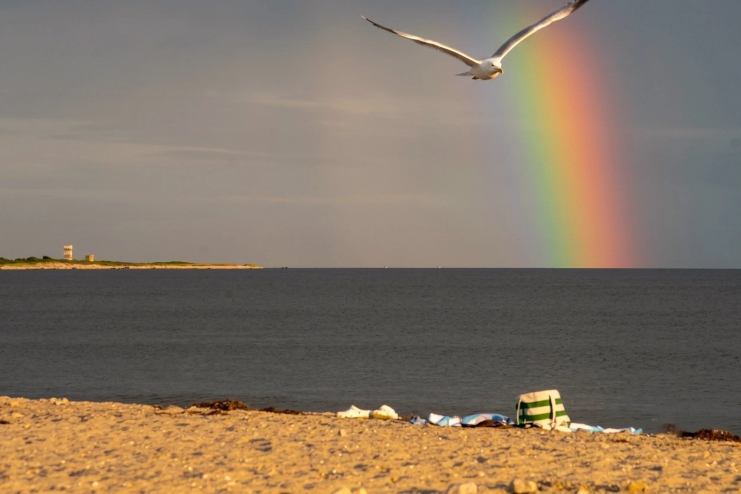 Joe_Clayton_Day at Horseneck Beach($250).jpg