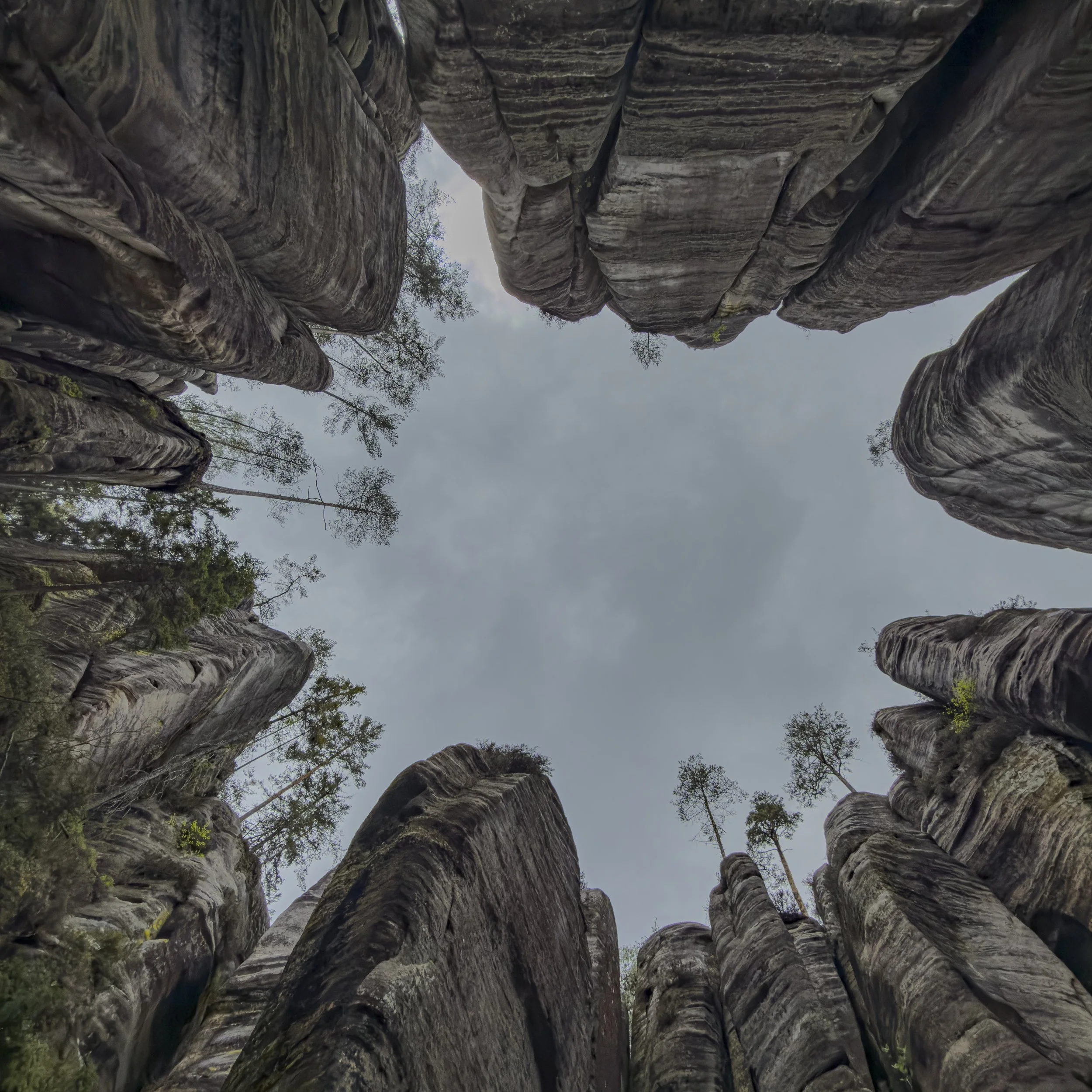 Looking Up