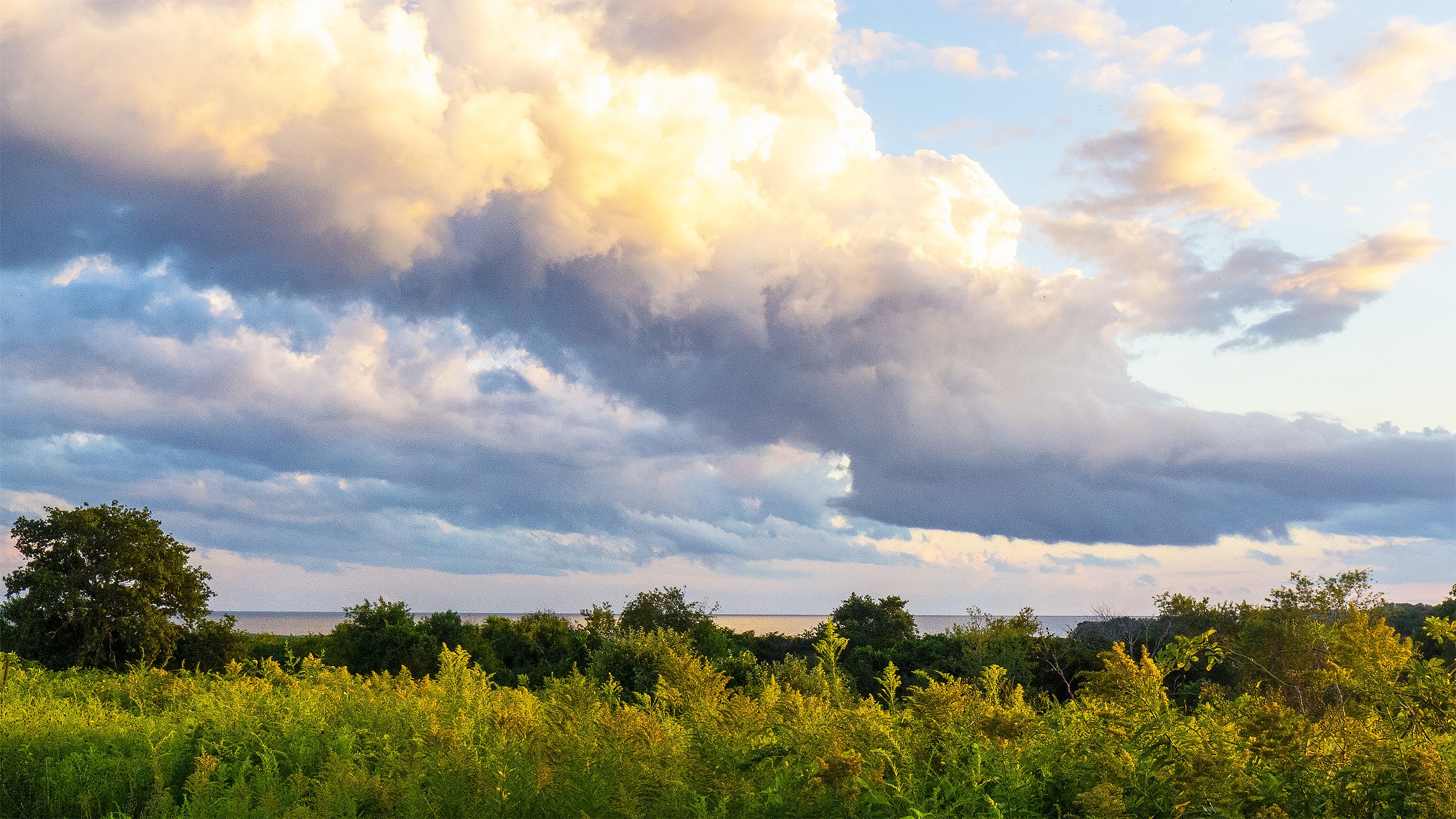 View from Norman Bird Sanctuary