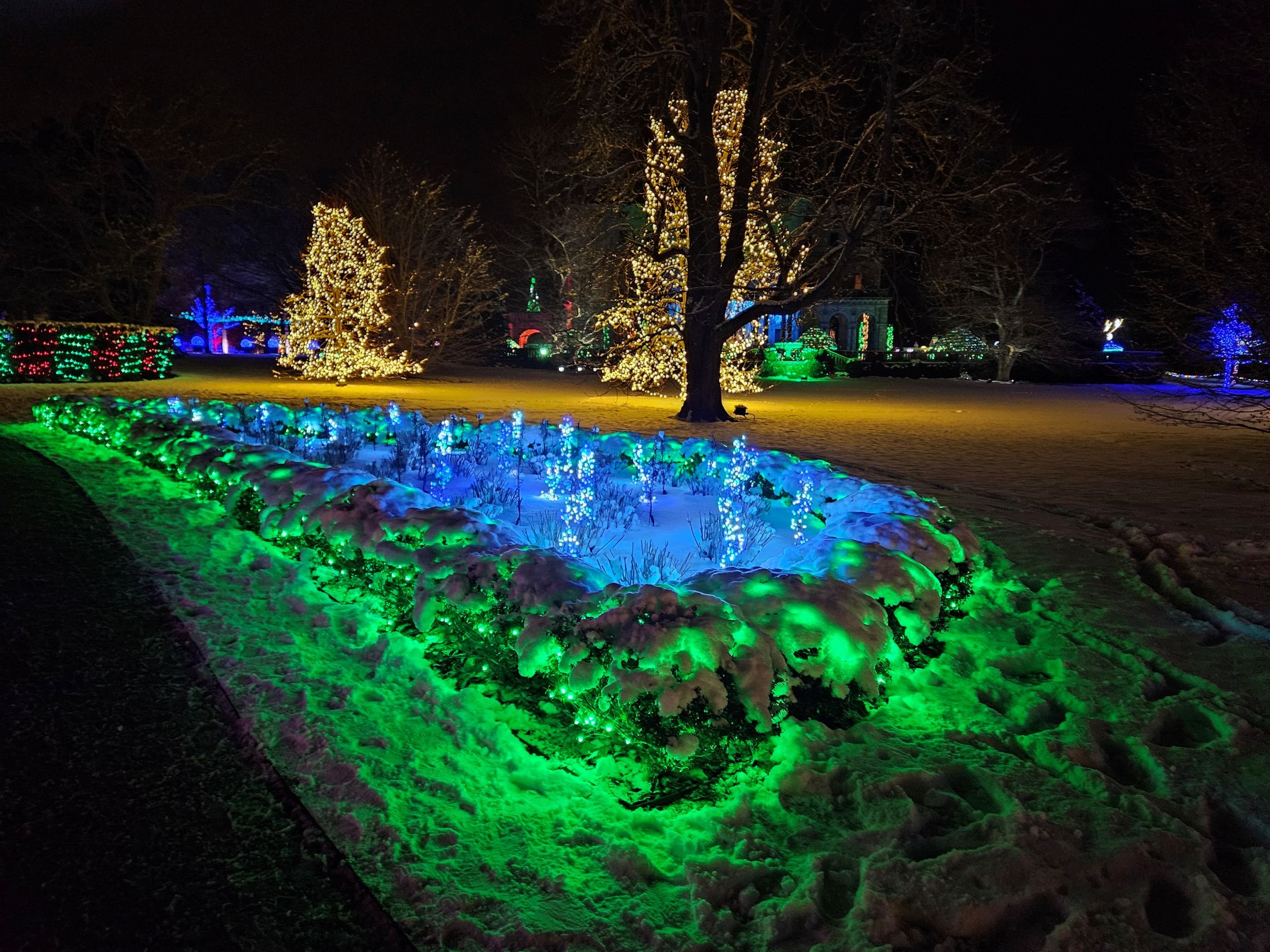 Liz Fields Snowy Lights at the Breakers(Contact NPG)