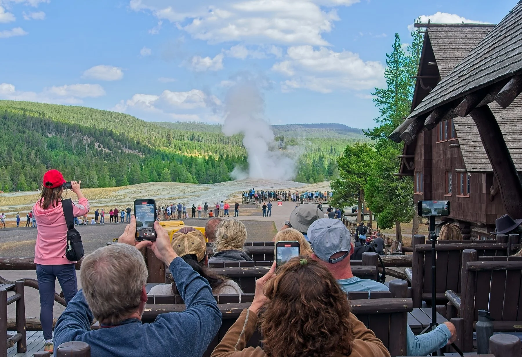 Faithful Crowd Pleaser by Andy Lowen
