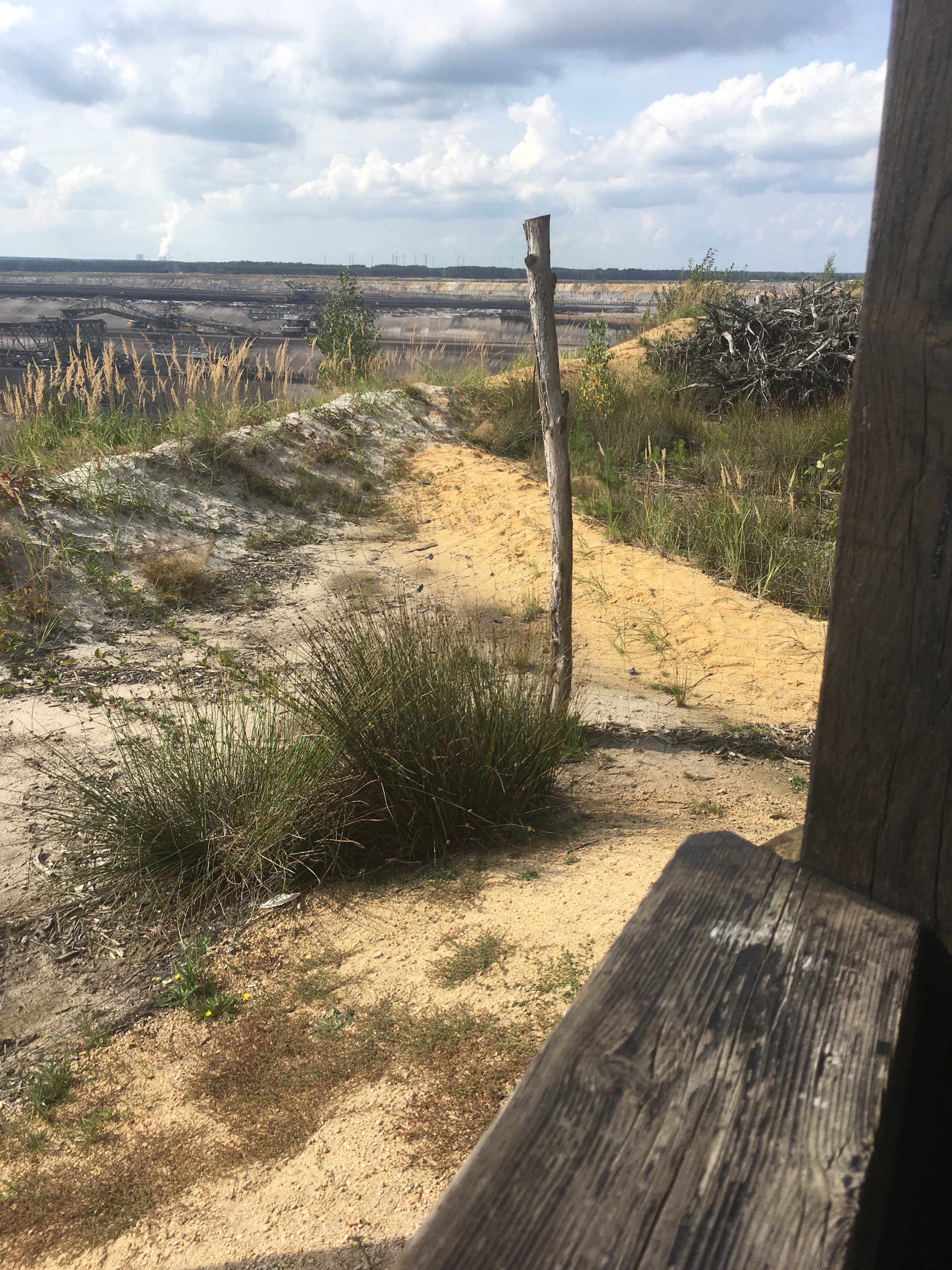 Life After Lignite.JPG