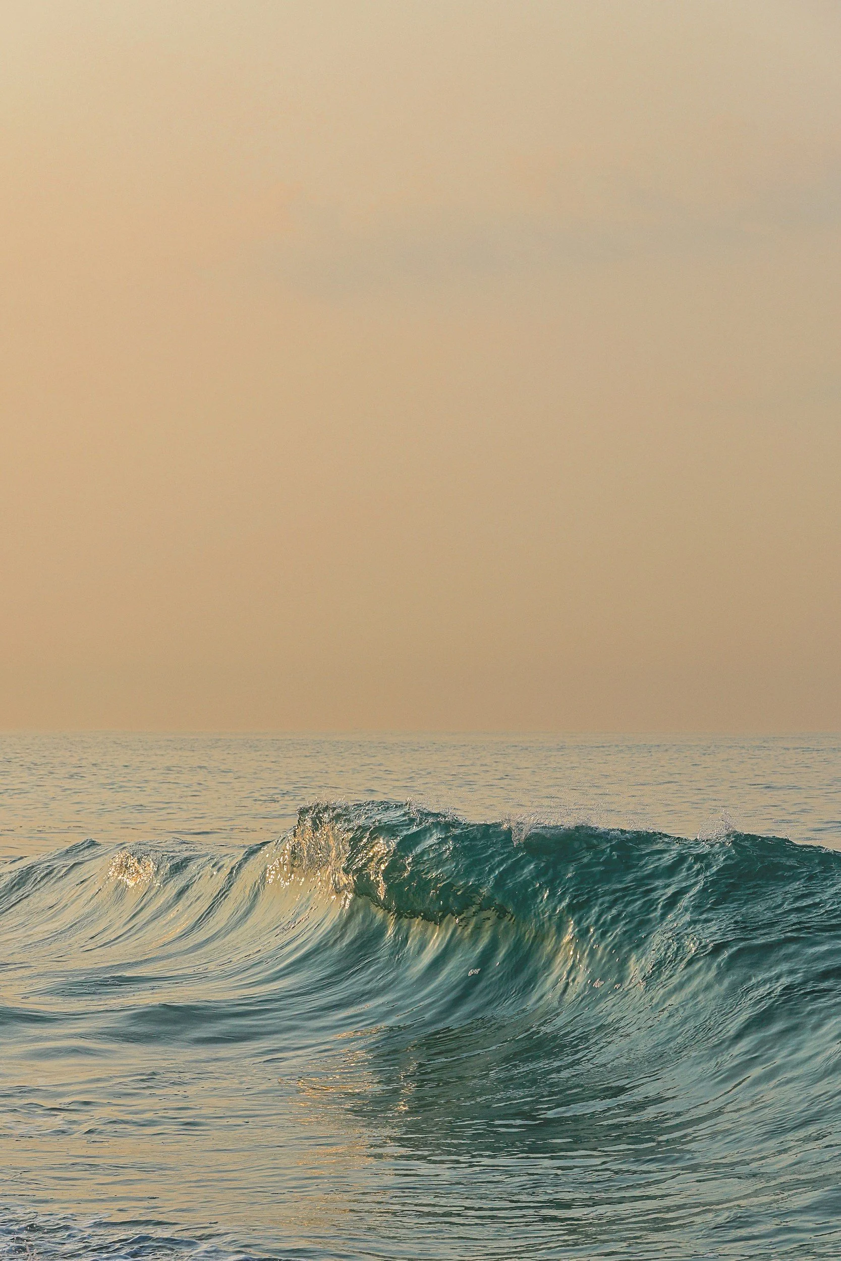 L'Hebdo #082 : Optimiser sa trésorerie d'entreprise avant de céder son entreprise, la croissance des bénéfices devraient soutenir le marché