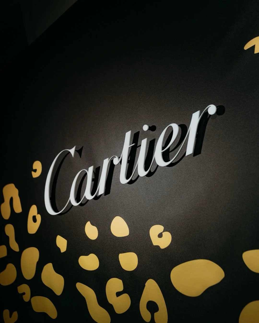 Recent work for @cartier 

Thanks for the trust @lphulshof 🙏🏻❤️
we also had @emiro.jr running around but I guess he&rsquo;ll be posting his own pretty pics🫡