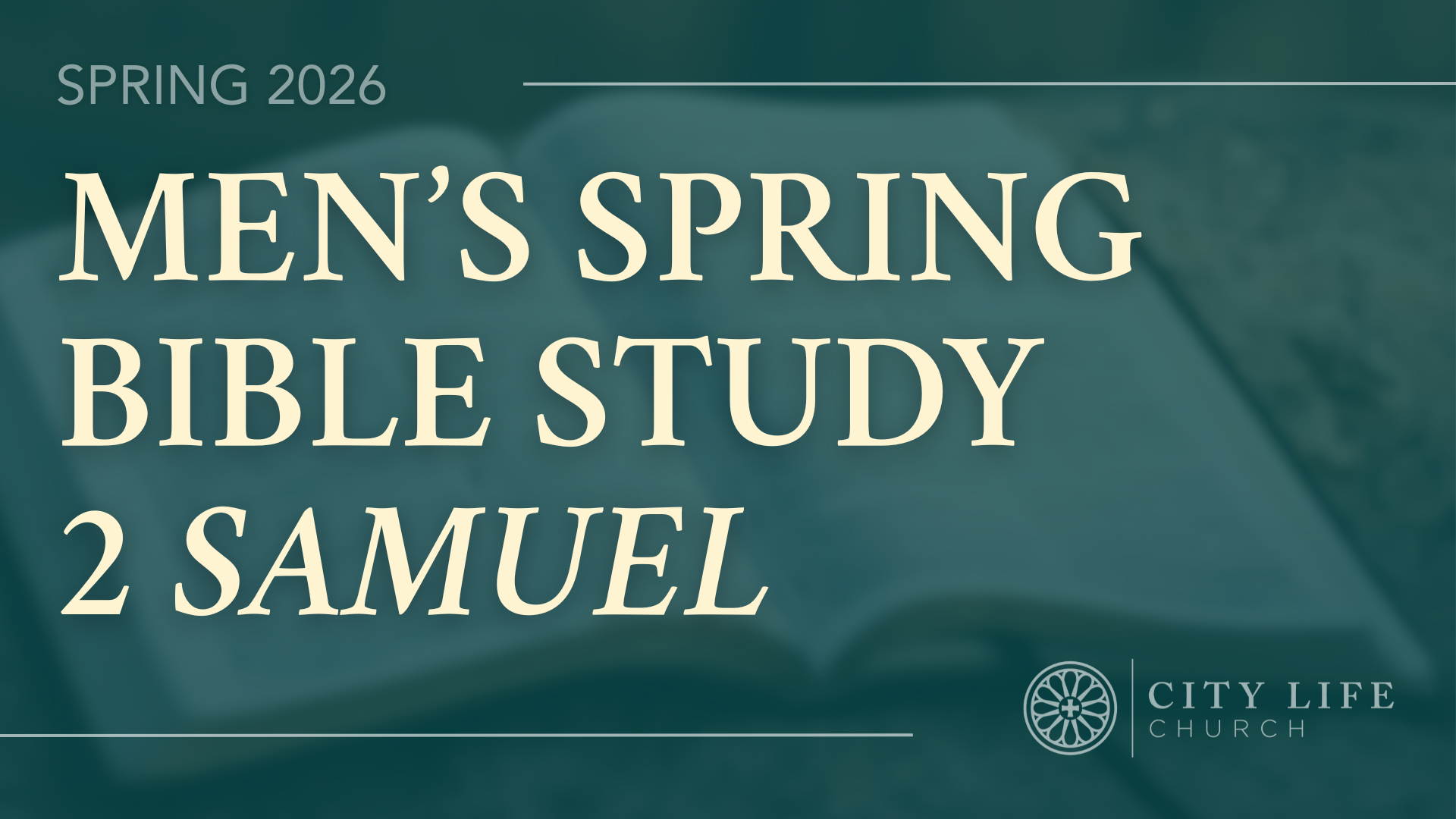 Men's Spring Bible Study: 2 Samuel