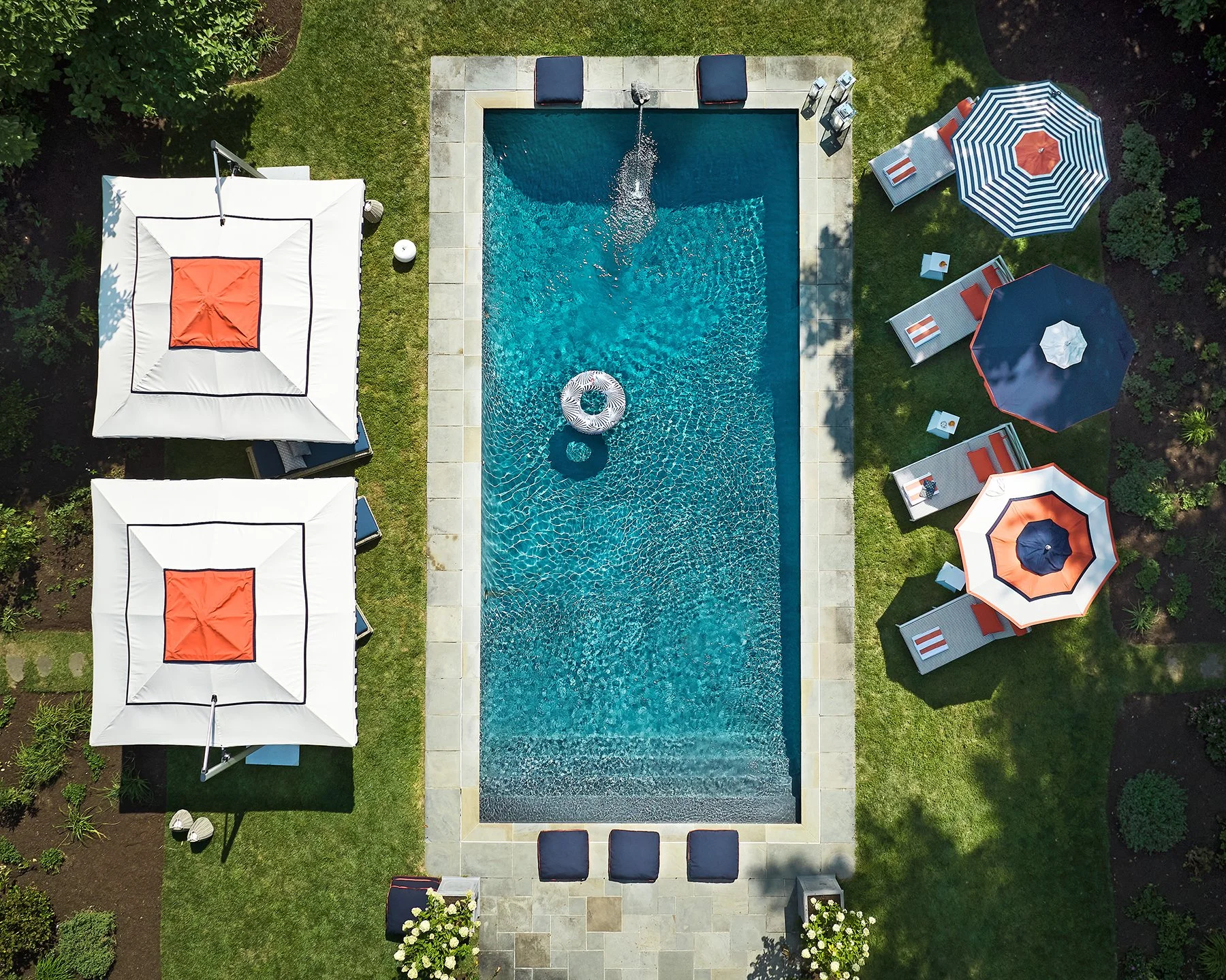 Janus 2025 Campaigns