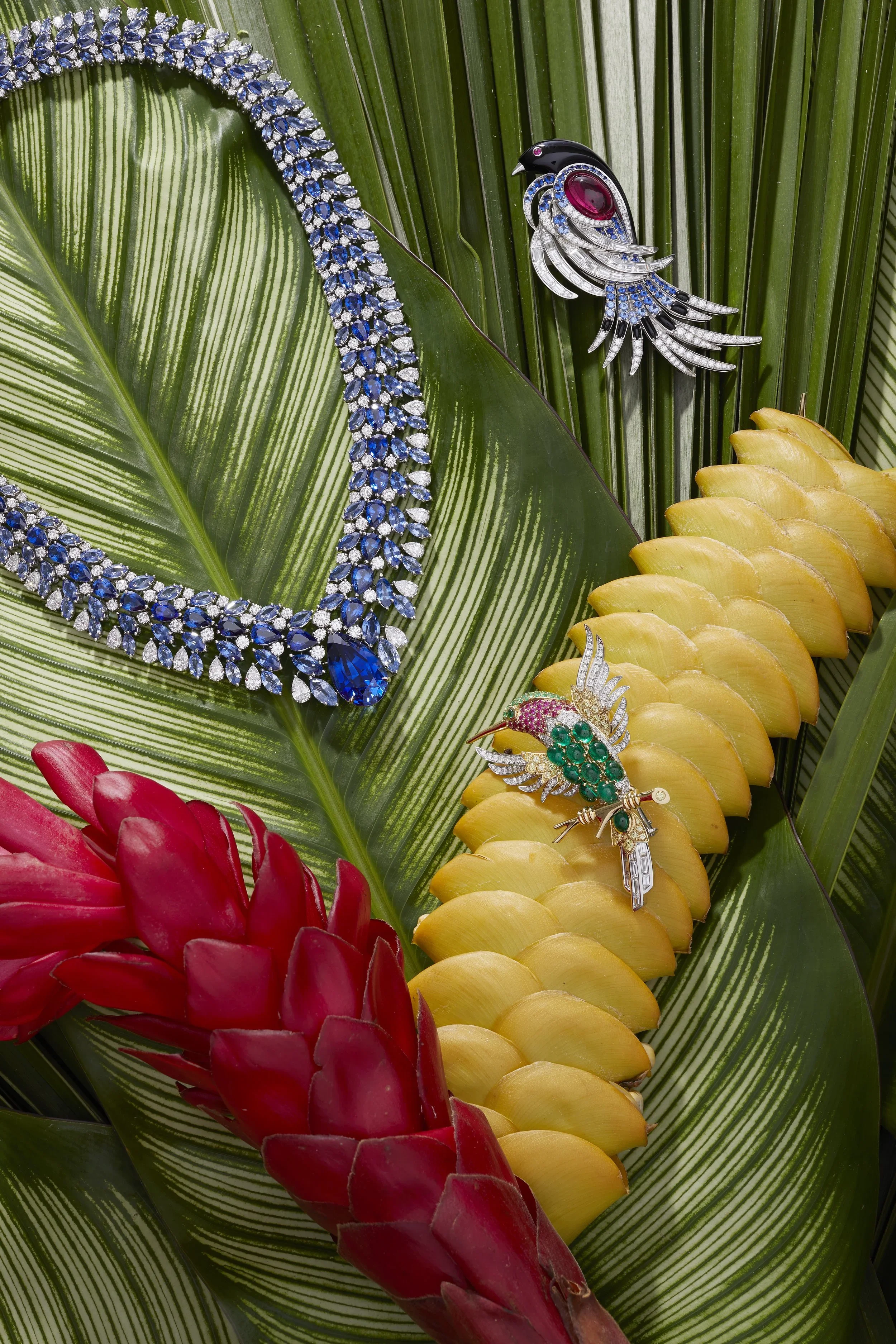 Harry Winston, Photography by Don Penney