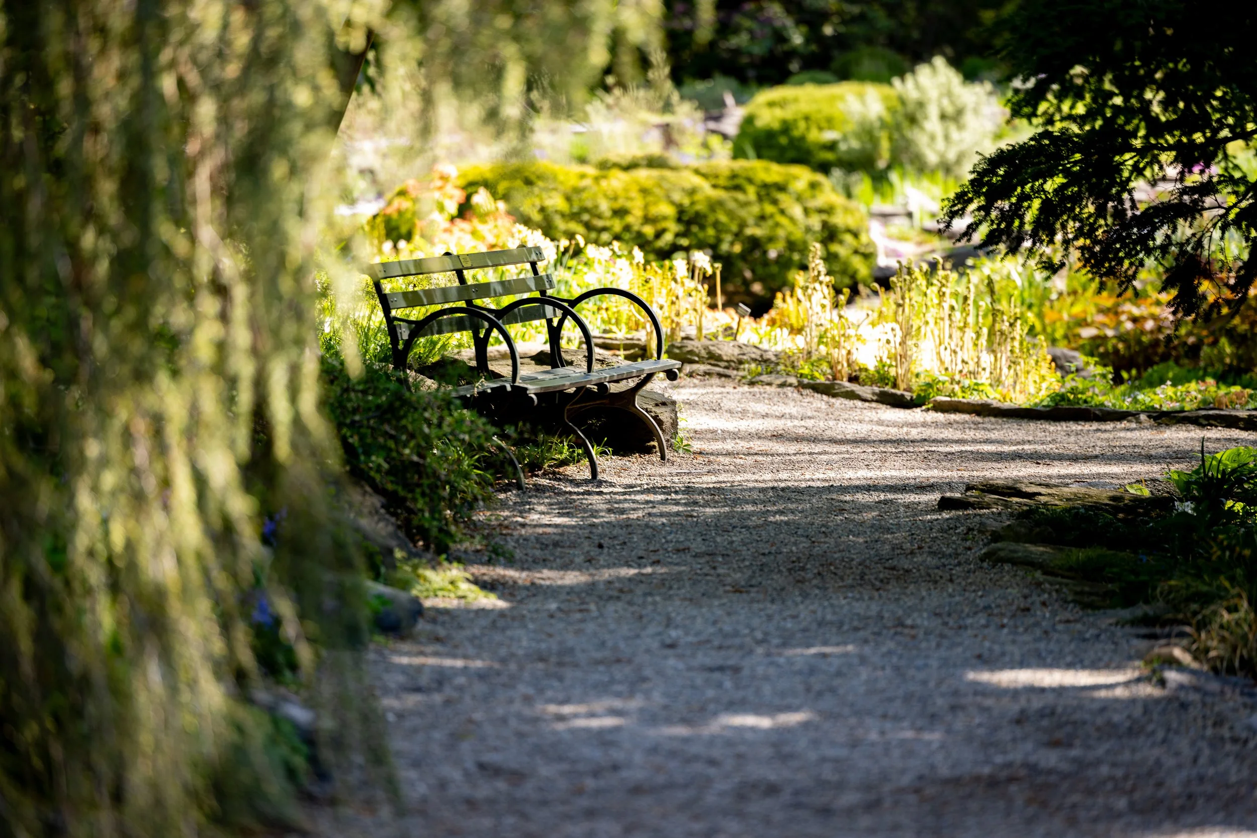ScottJonesPhoto_010.JPG