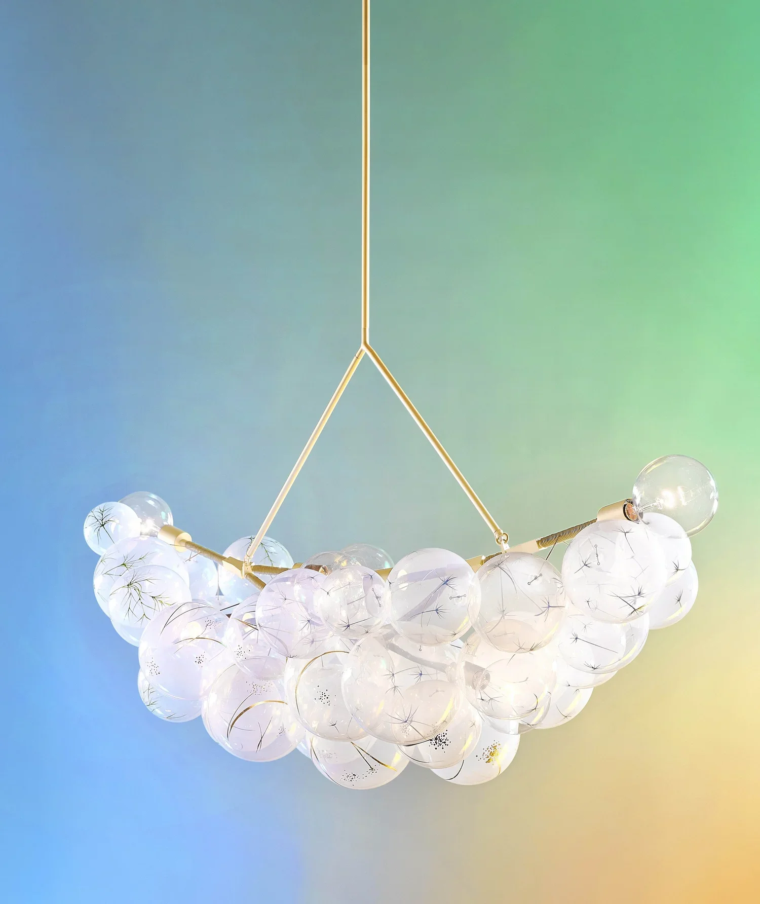 PELLE Designs, Photography by Daniel Seung Lee