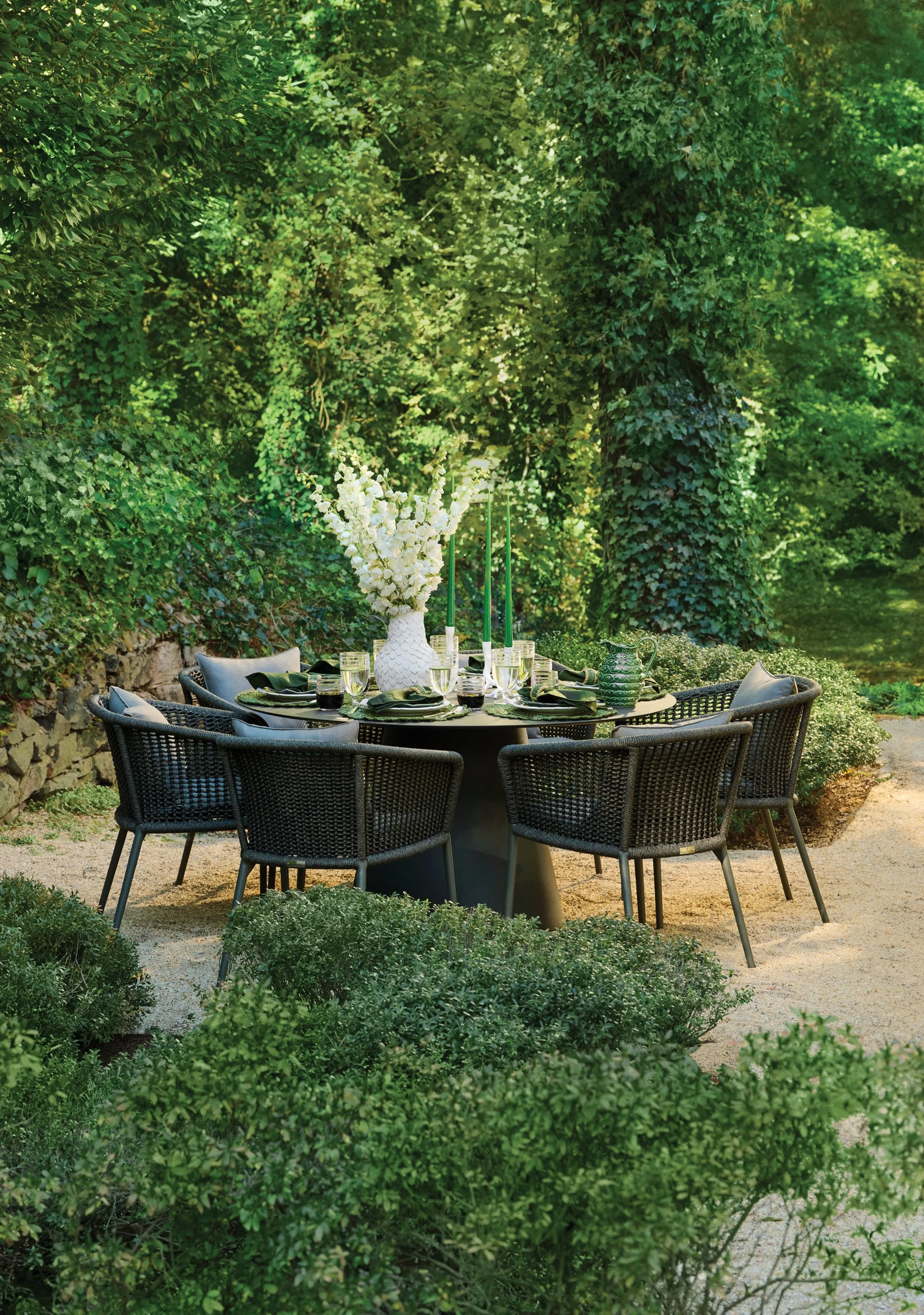 Janus 2024 Campaigns