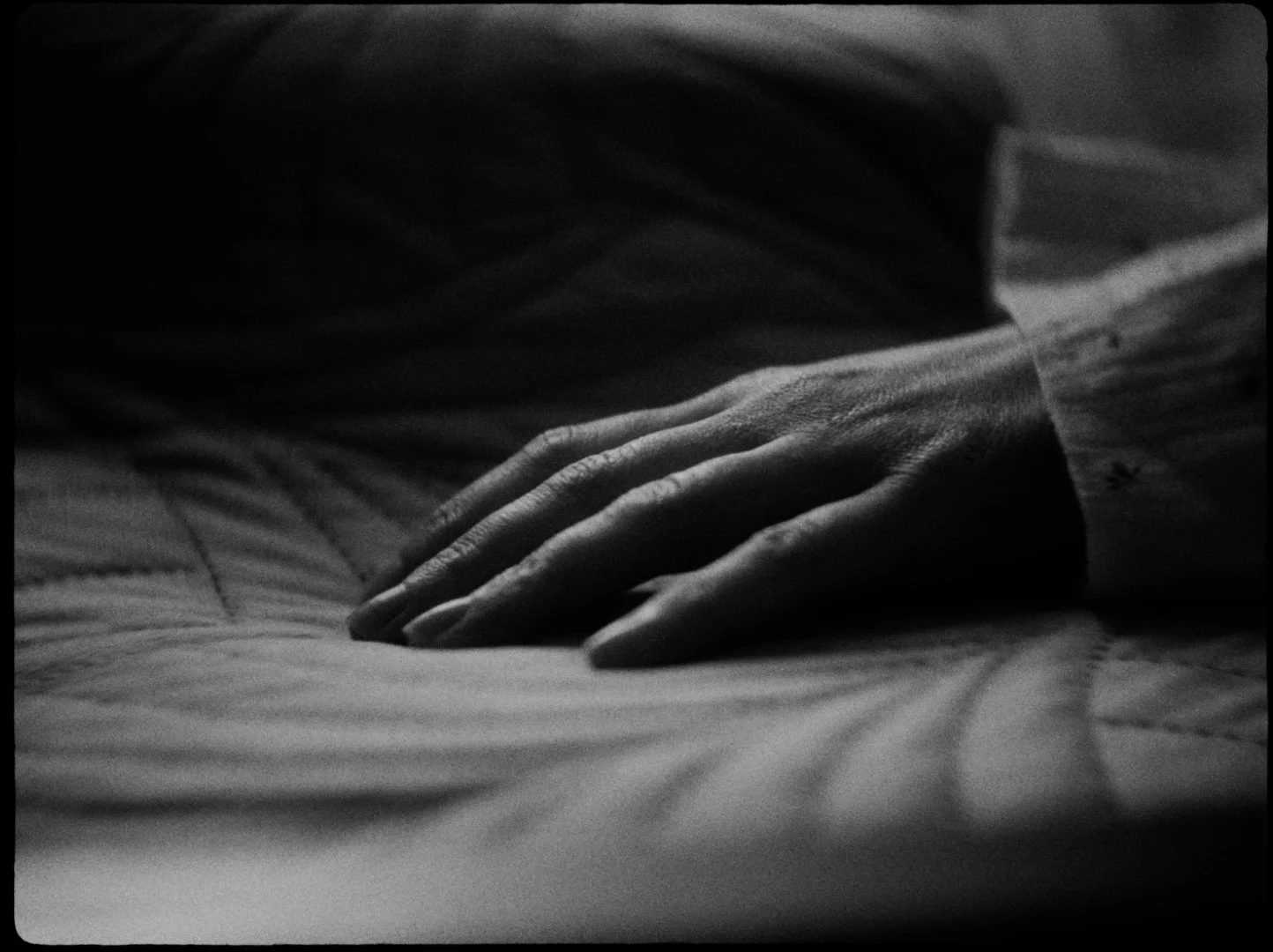 PARA_STILLS19.jpg