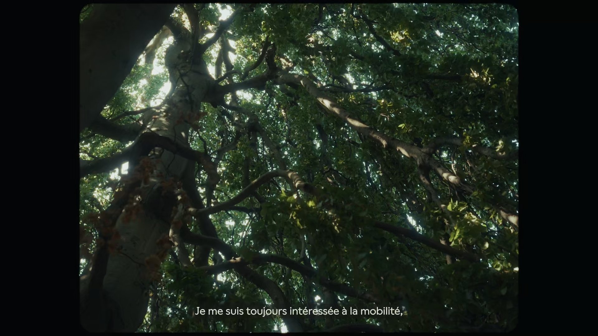 Still 2026-01-28 184049_1.1.1.jpg