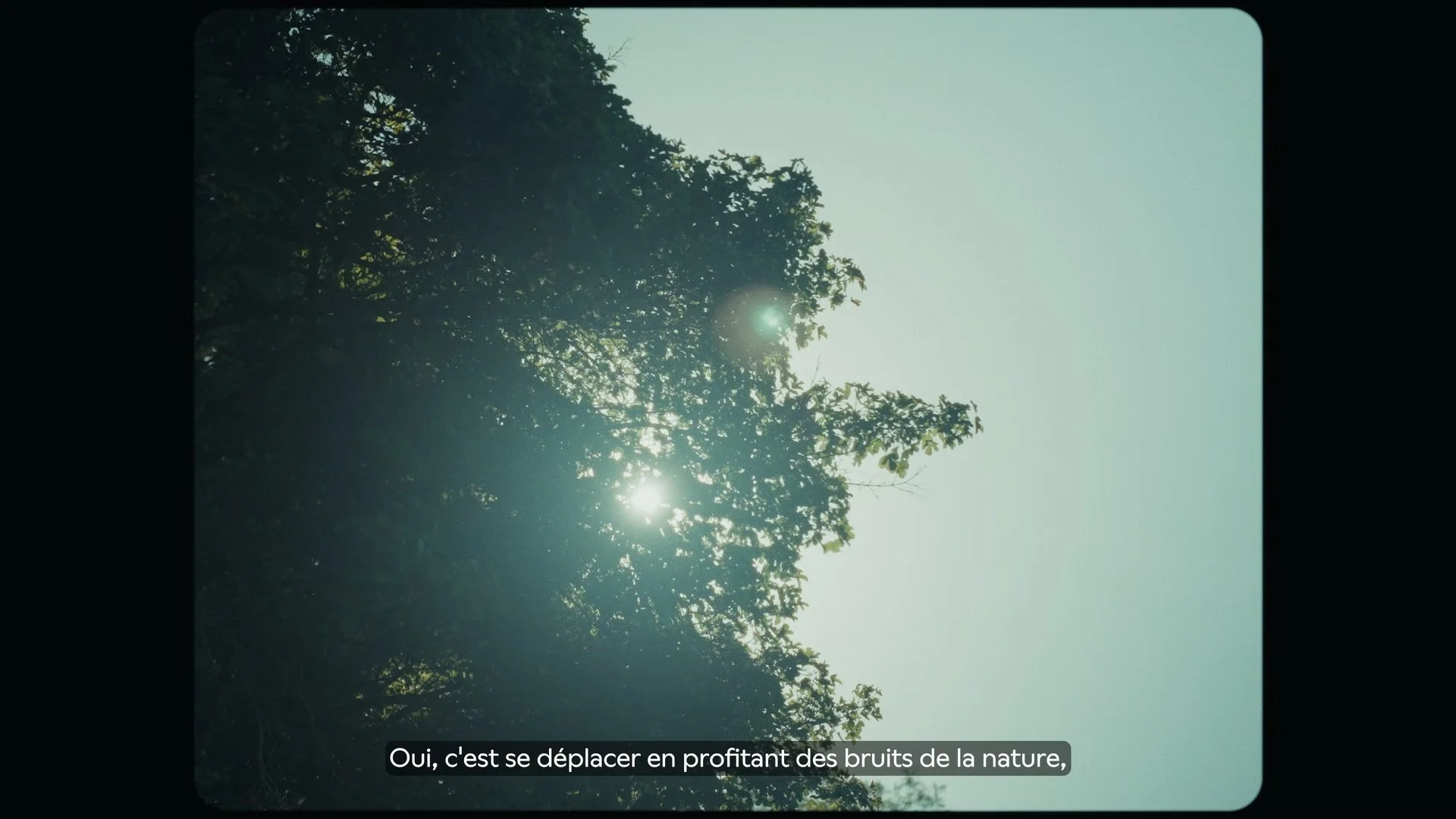 Still 2026-01-28 184049_1.4.3.jpg